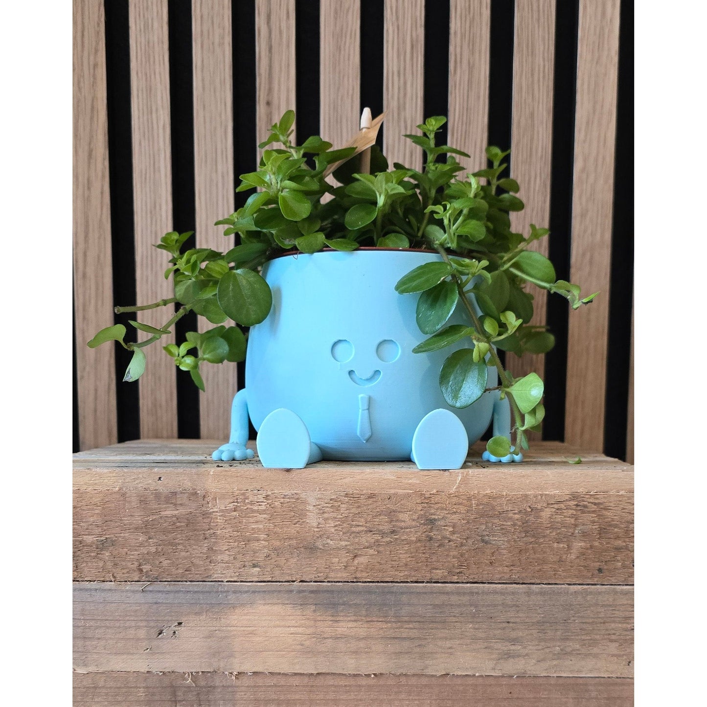Groot 3D-geprint bloempotje - groot