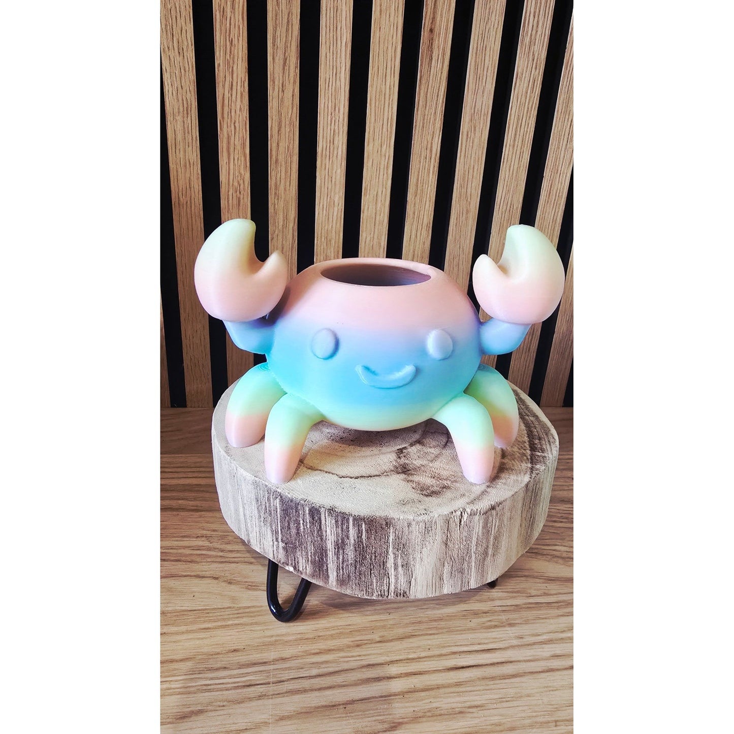Crabby - Regenboog Krab Bloempotje - Het Oekedoeleke