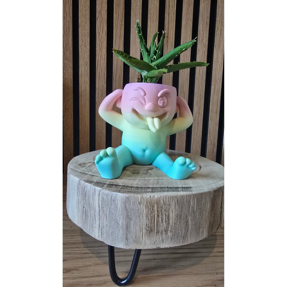 Gekkebek - Grappig Regenboog Bloempotje - Het Oekedoeleke