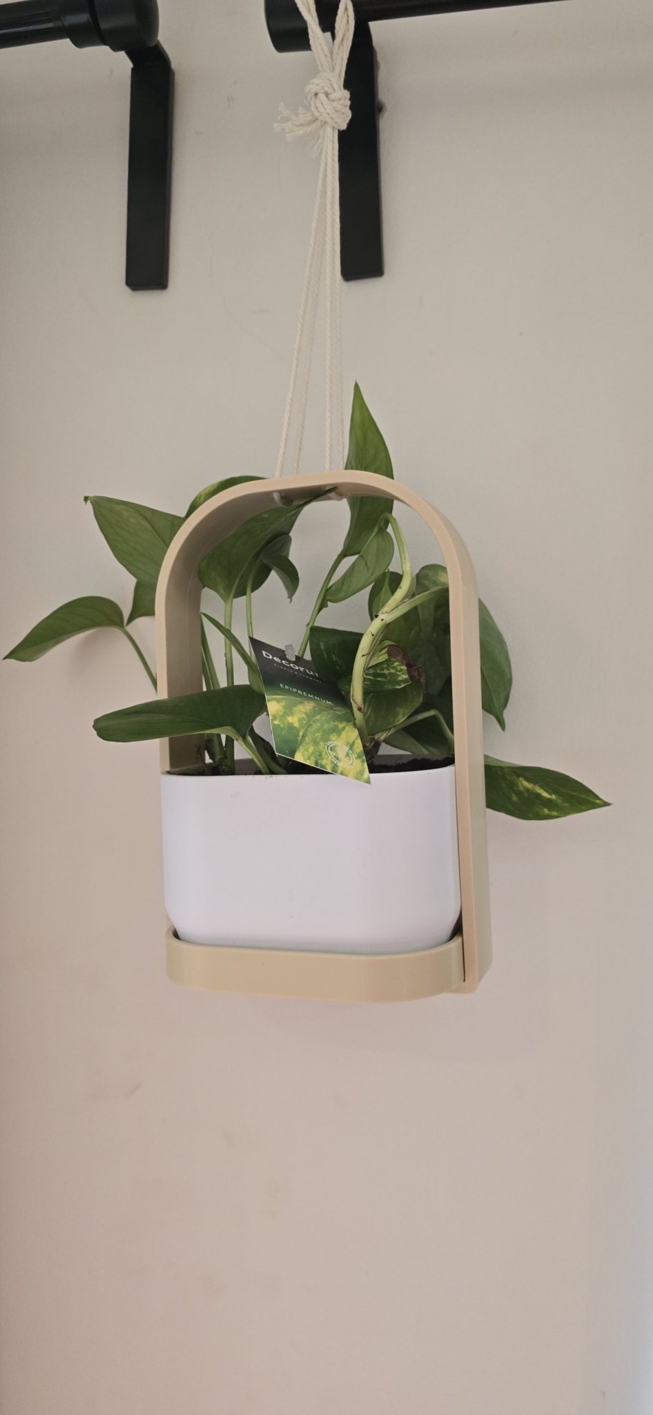 Hangis - Hangende Bloempot Binnen & Buiten - Het Oekedoeleke