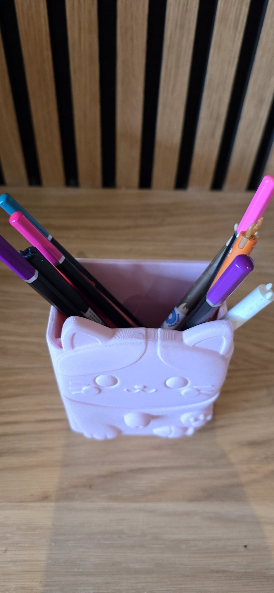 Pennenhouder Kat - Pastel Roze - Het Oekedoeleke