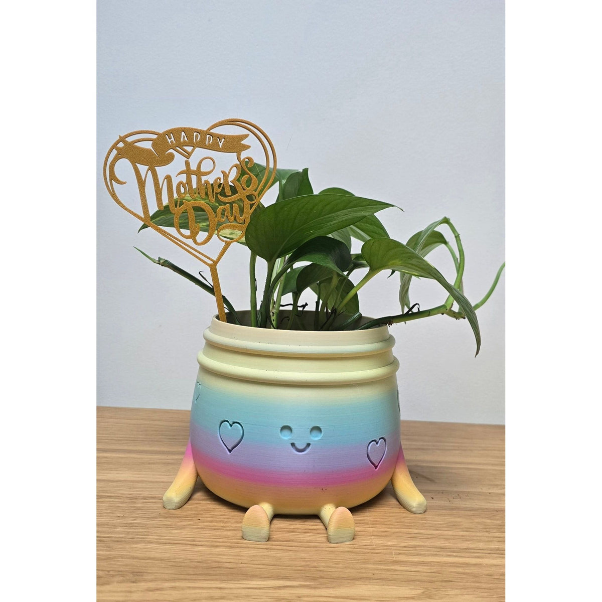 Plantensteker Happy Mother's Day - Het Oekedoeleke