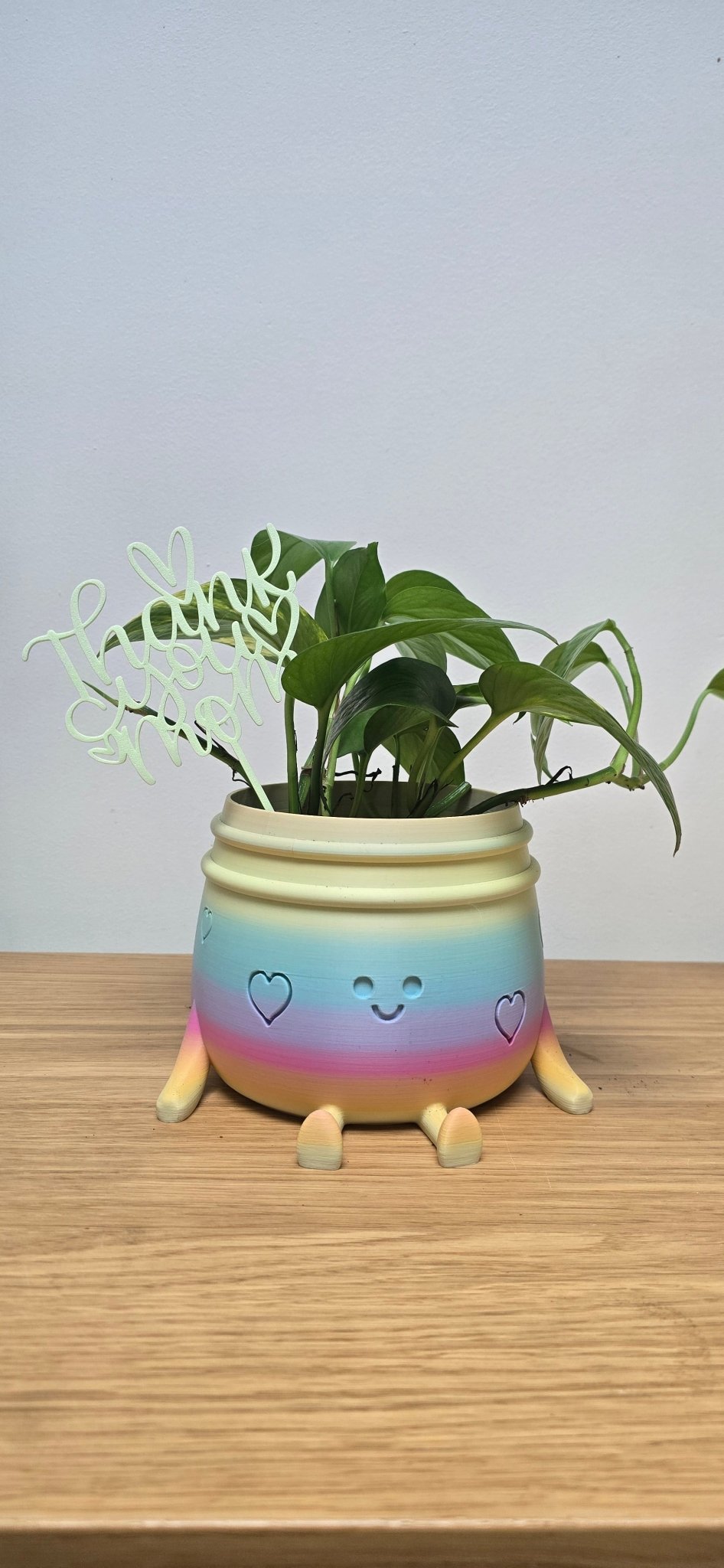 Plantensteker Happy Mother's Day - Het Oekedoeleke