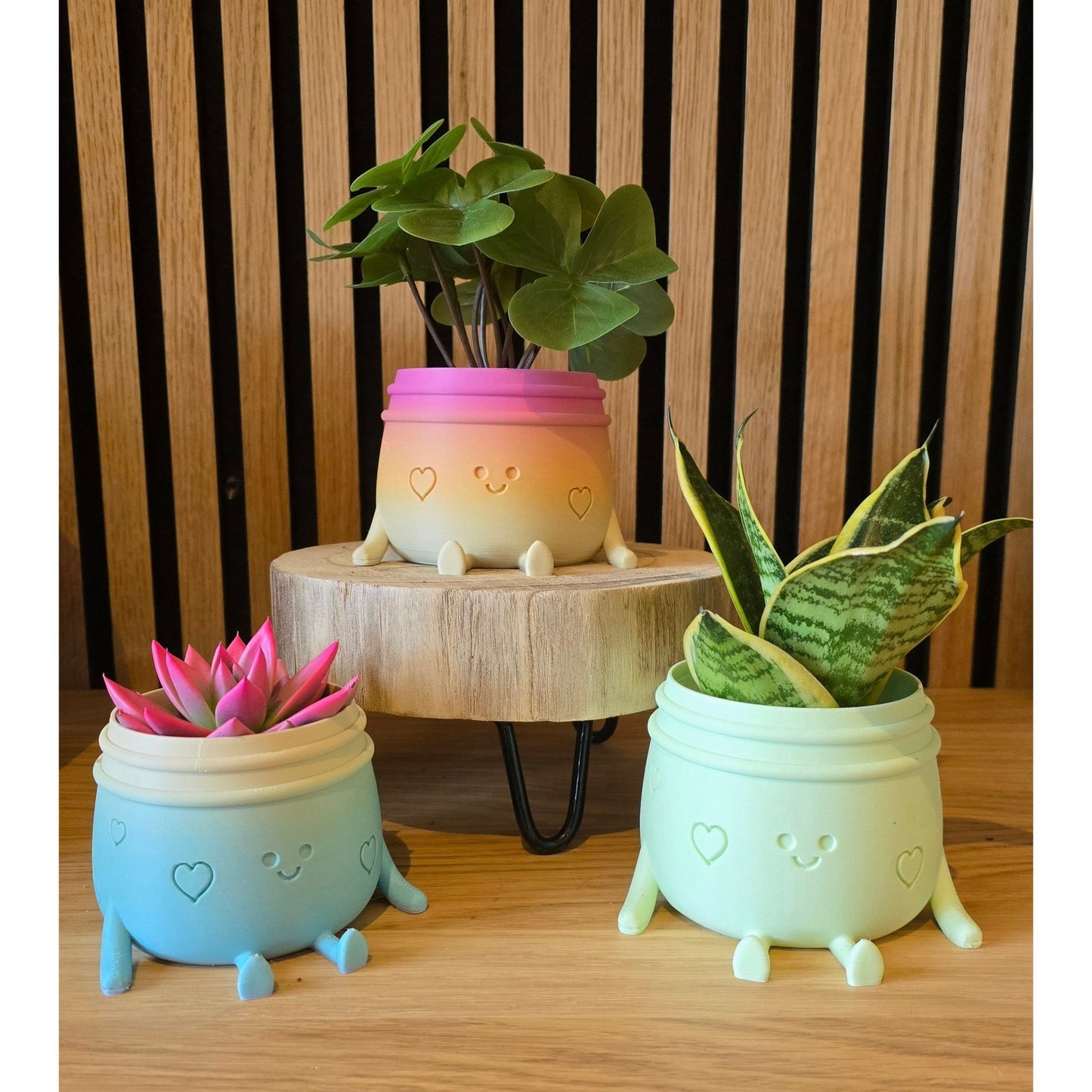 Planti Potti - Het Oekedoeleke