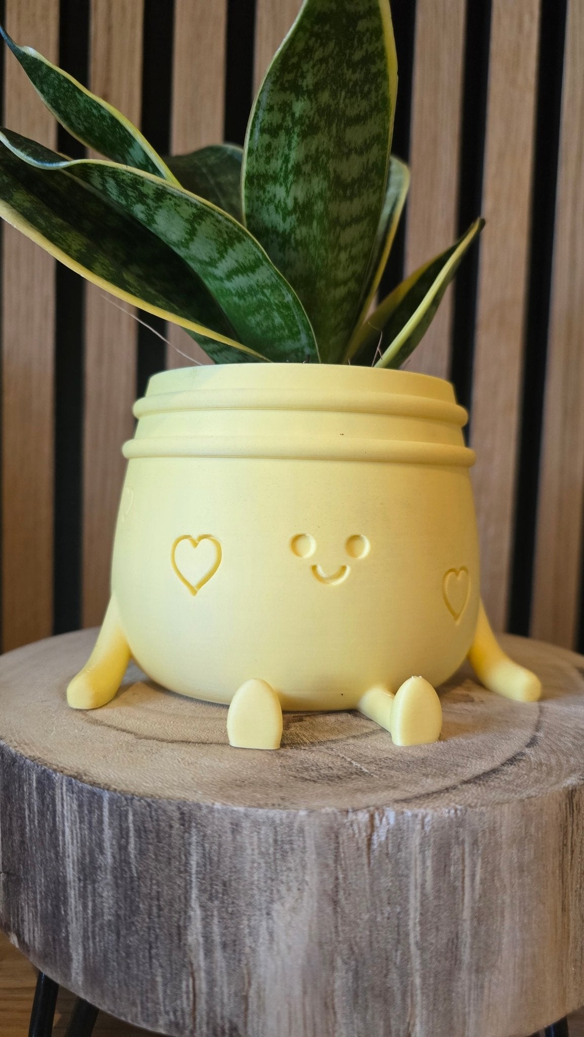 Planti Potti - Het Oekedoeleke