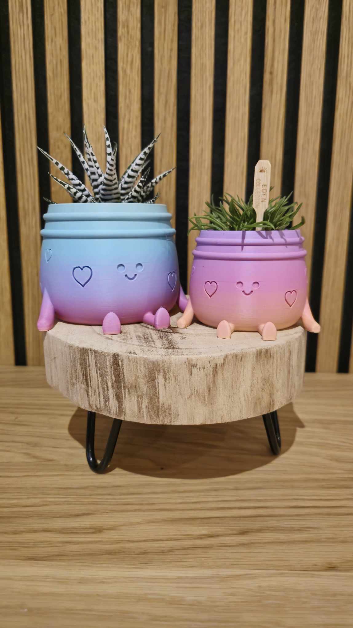 Planti Potti bundel - Het Oekedoeleke