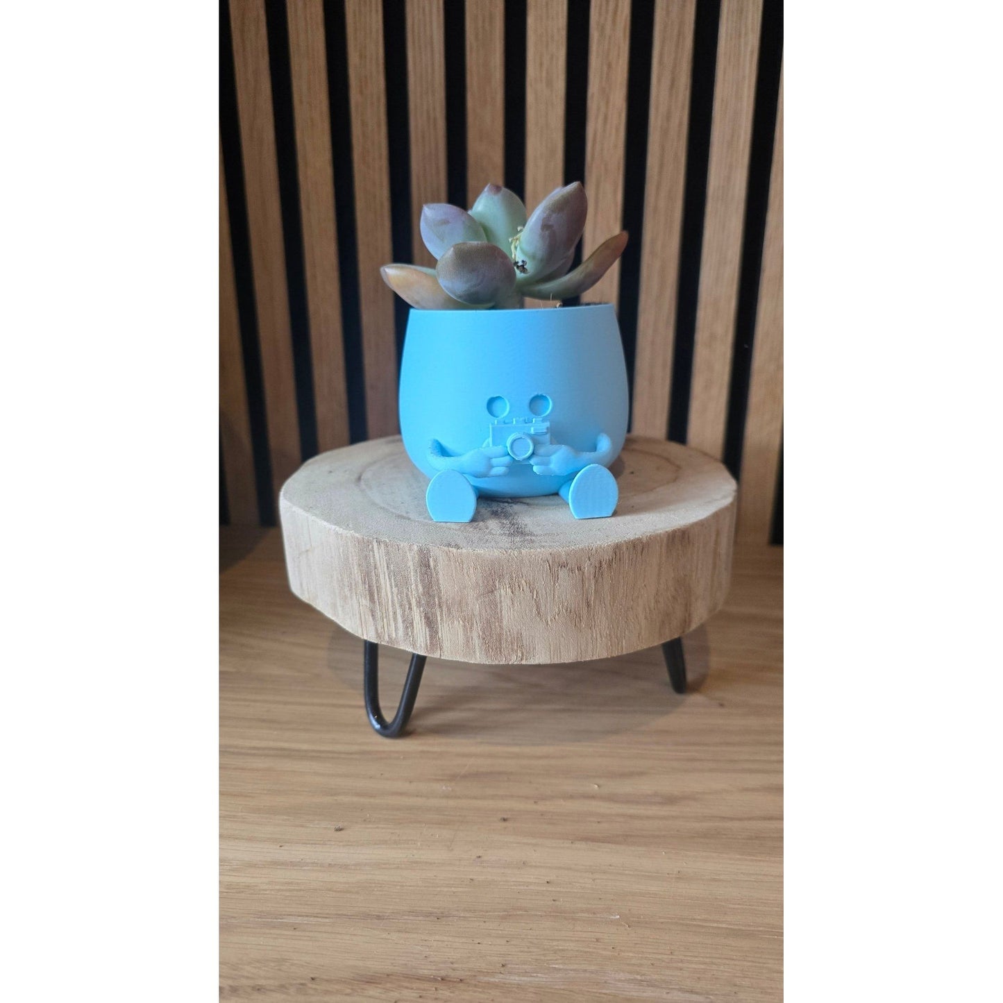 Snapshot Camera Bloempot - Schattig 3D Geprint - Het Oekedoeleke