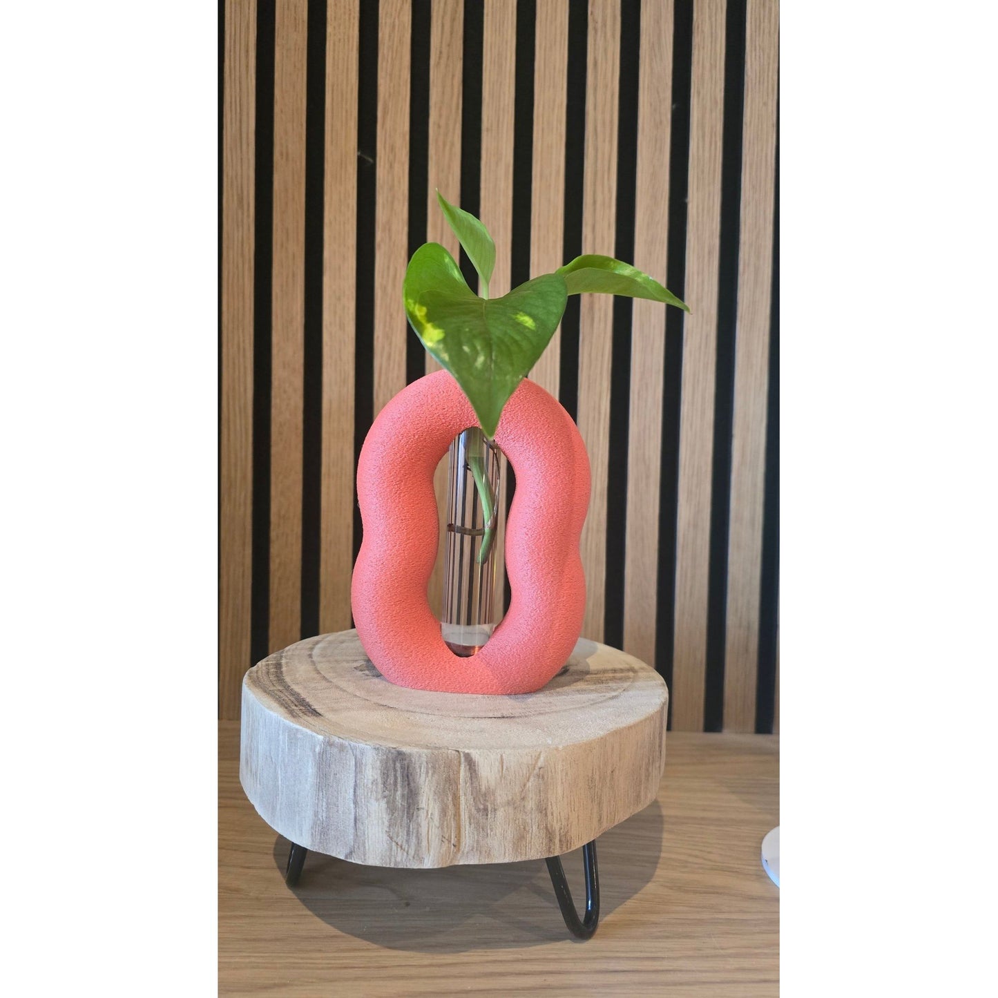 Stekvaasje - 3D Geprint Plantenpotje - Het Oekedoeleke