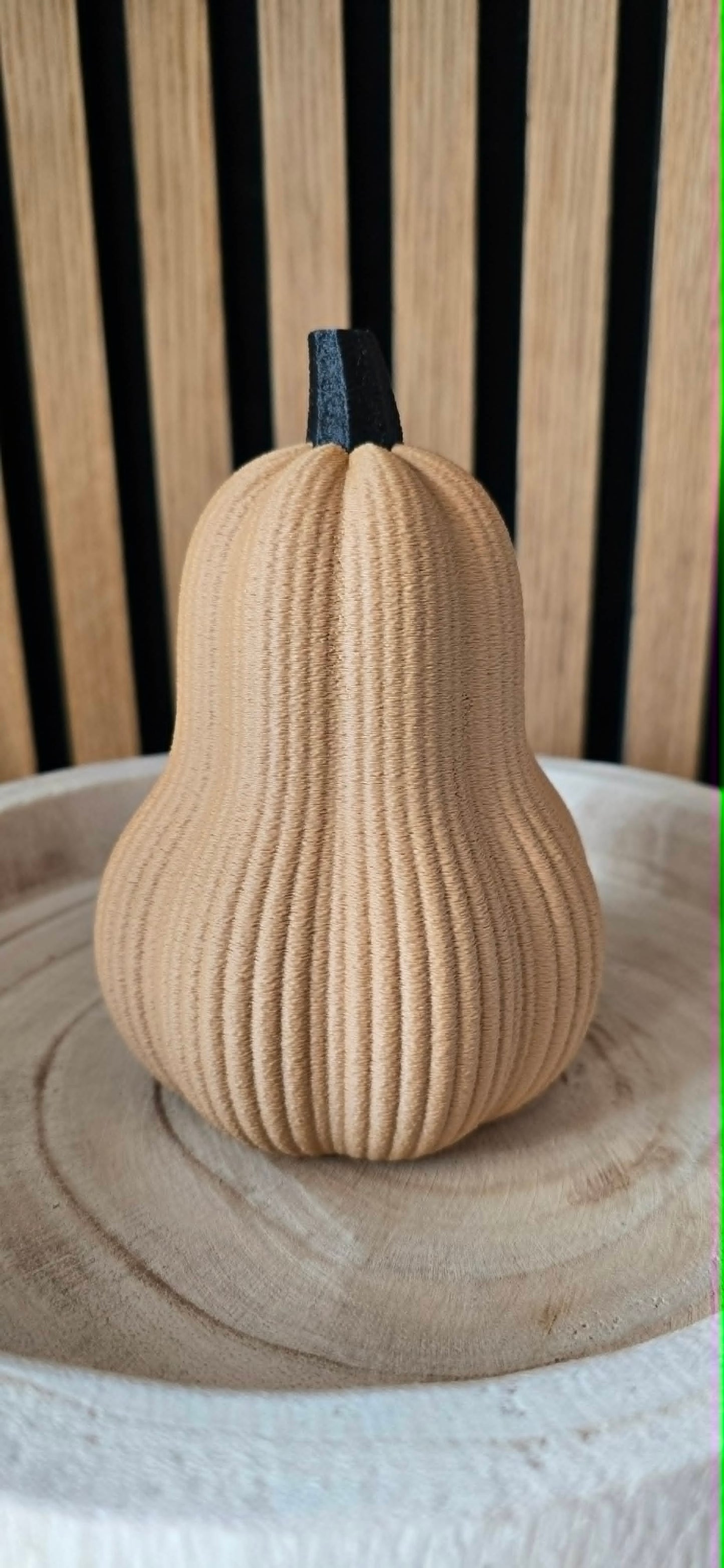 Butternut pompoen camel en ronde pompoen wit zij-aanzicht