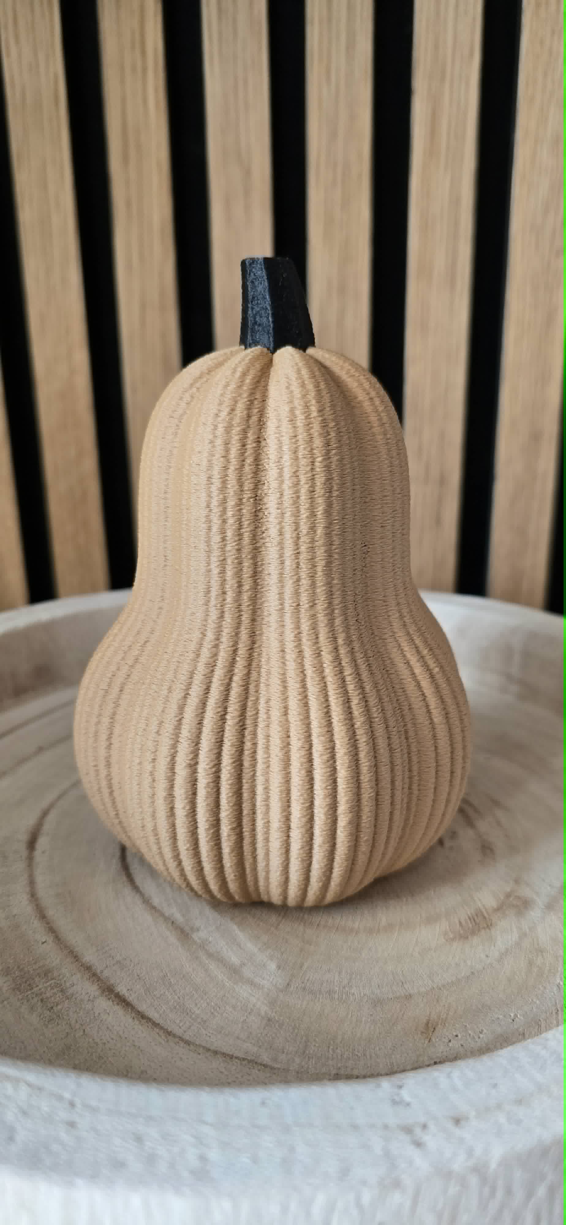 Butternut pompoen camel en ronde pompoen wit zij-aanzicht