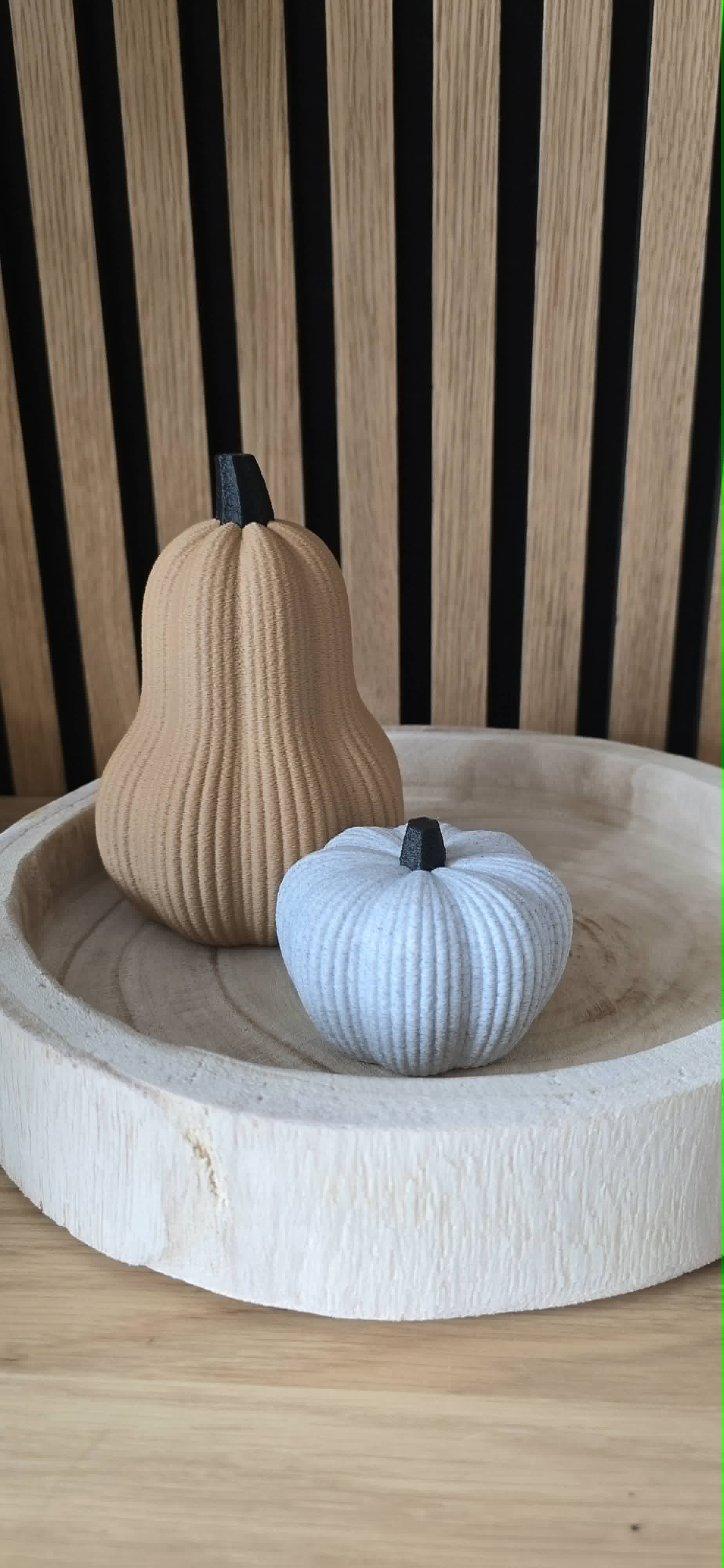 Butternut pompoen camel klein en wit klein