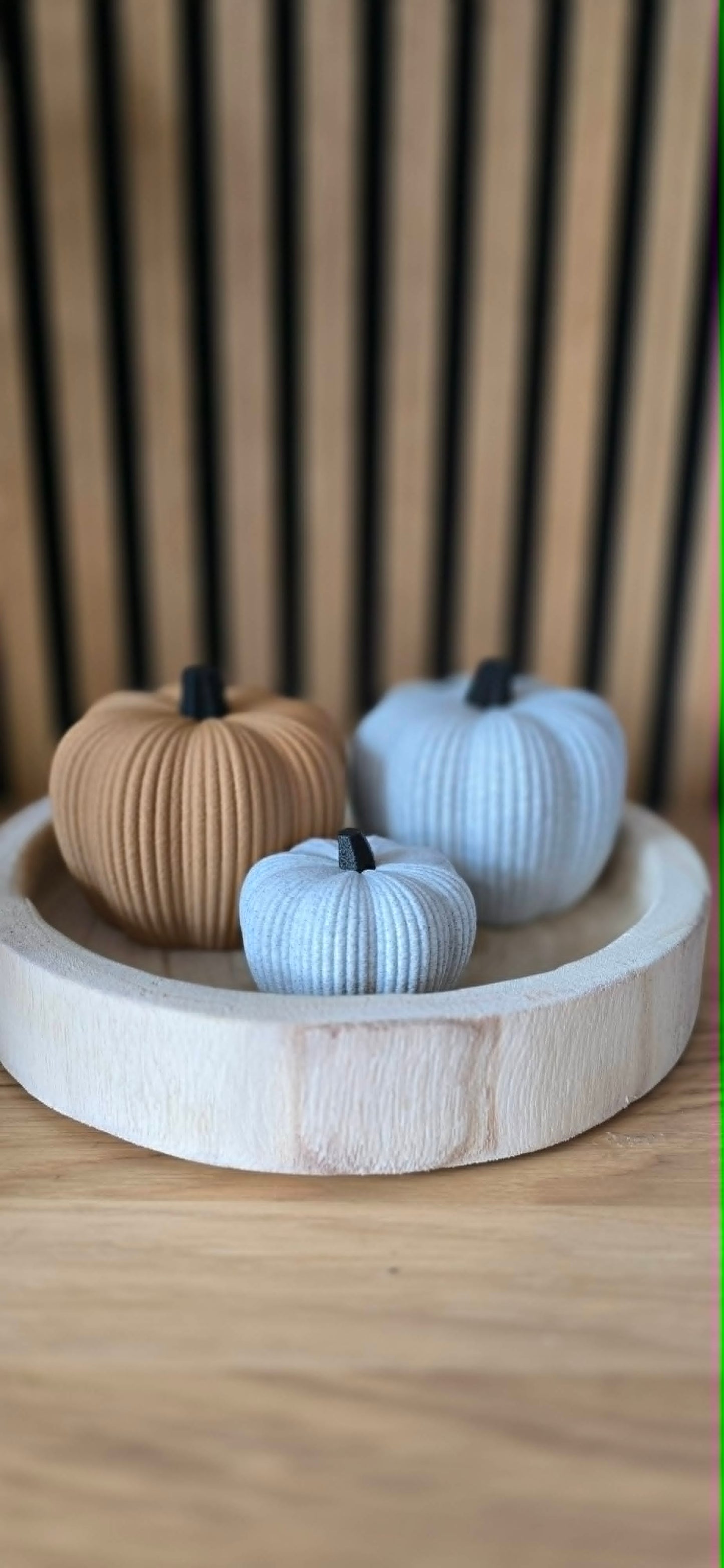 Set pompoenen camel en wit
