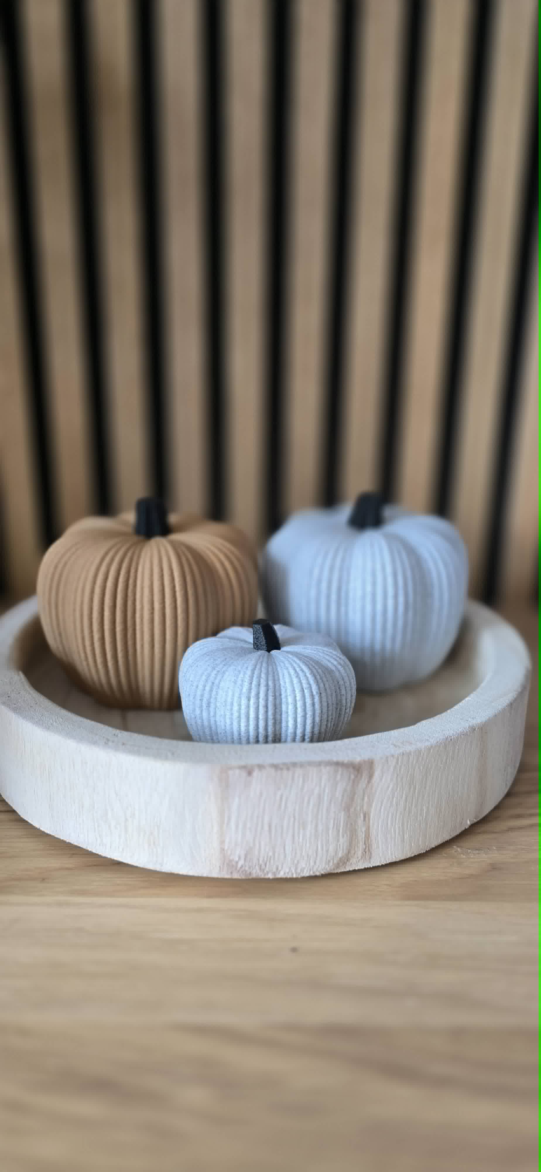 Set pompoenen camel en wit