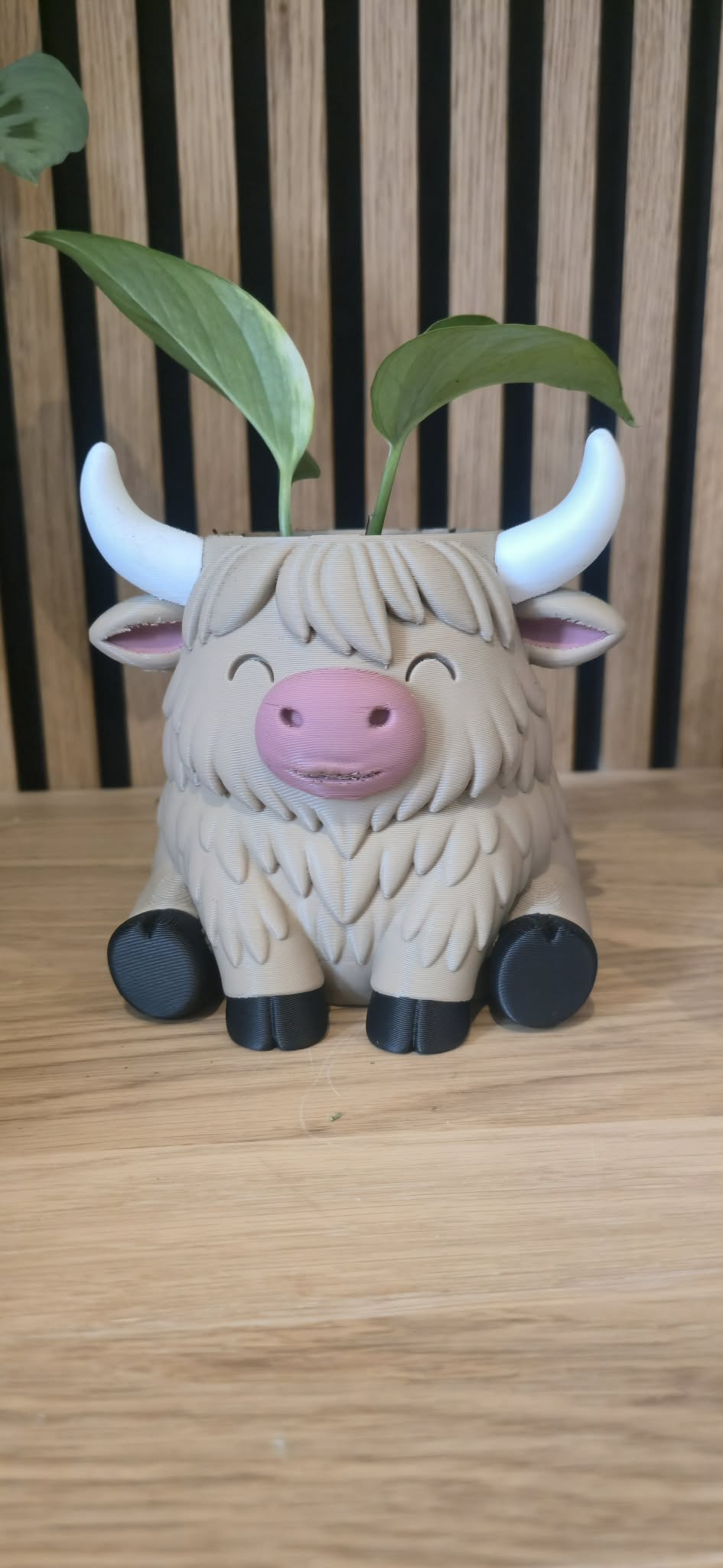 Highland Cow bloempot achterkant