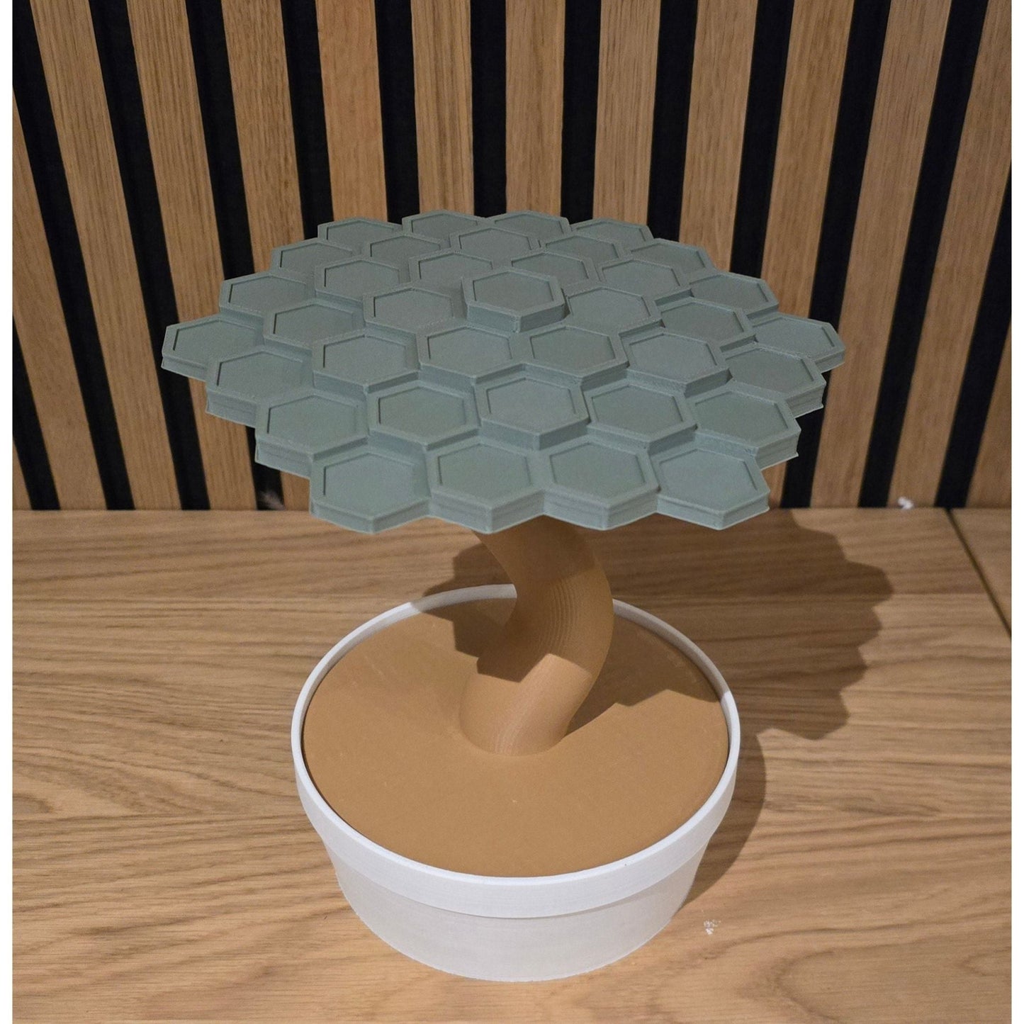 Balans boom - Het Oekedoeleke