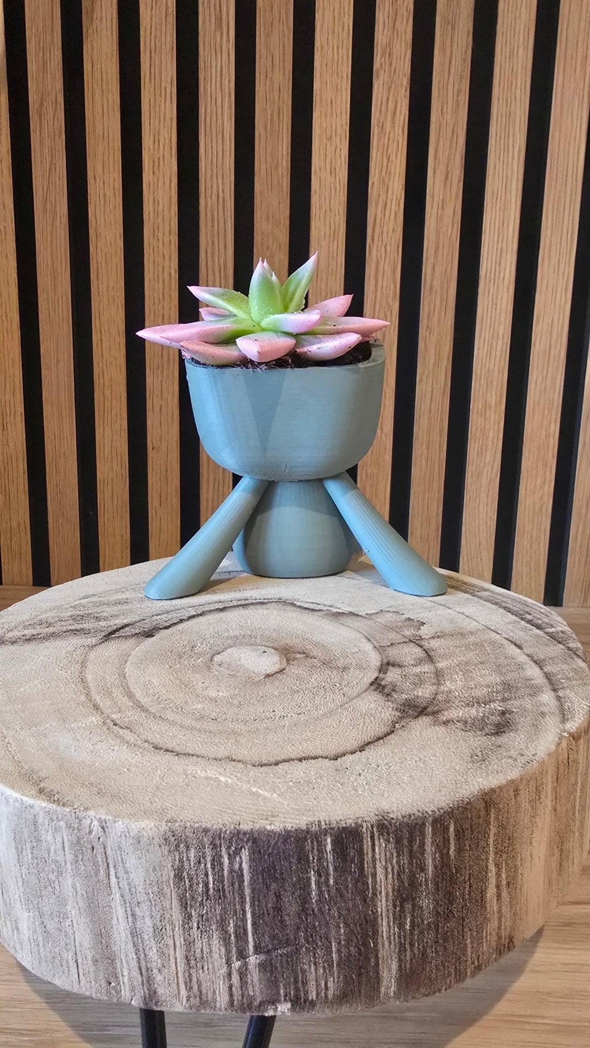 Bloempotmannetje zitter - Het Oekedoeleke