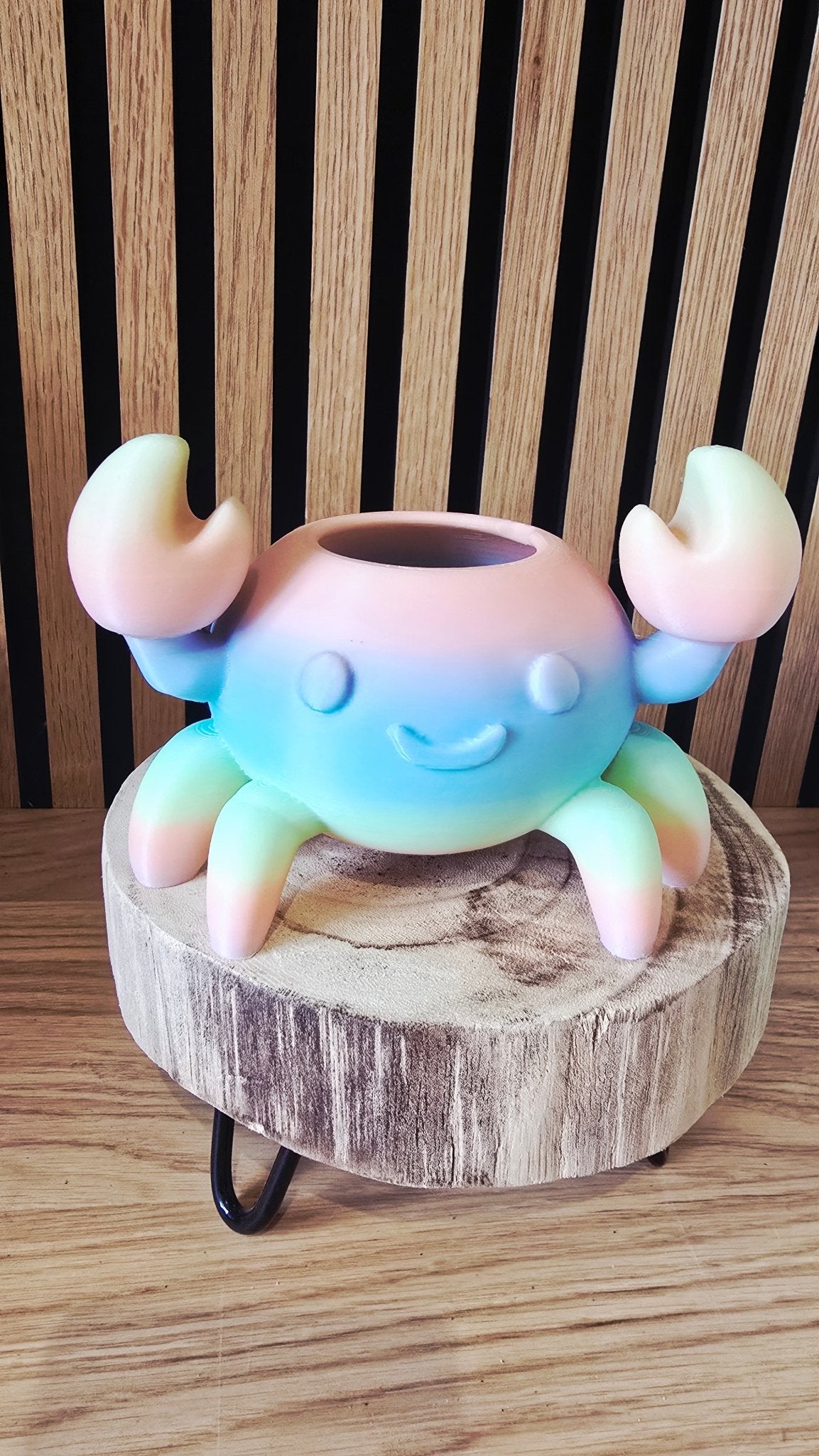 Crabby - Regenboog Krab Bloempotje - Het Oekedoeleke