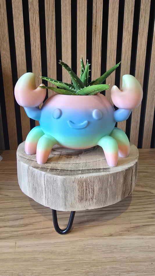 Crabby - Regenboog Krab Bloempotje - Het Oekedoeleke