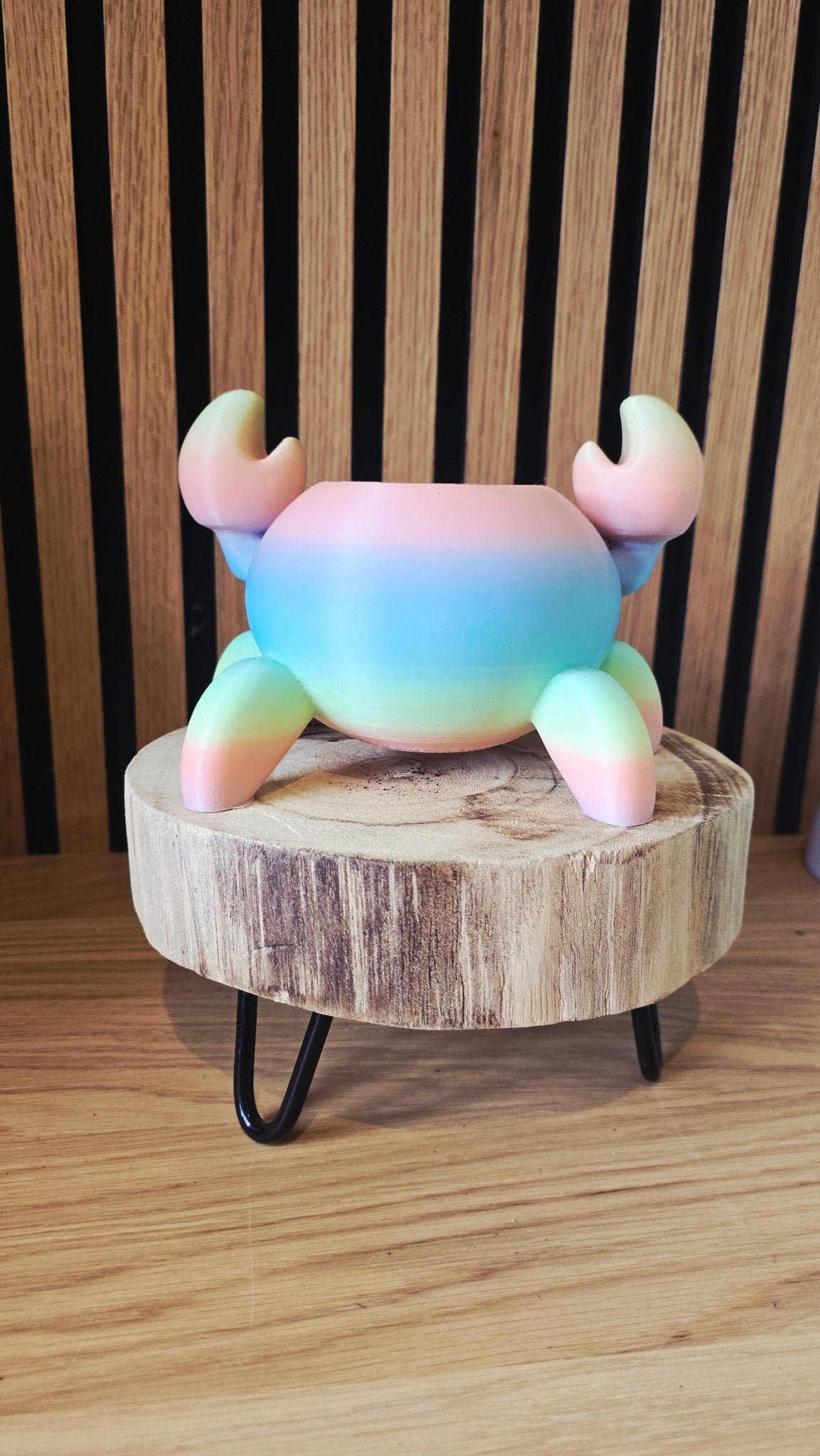 Crabby - Regenboog Krab Bloempotje - Het Oekedoeleke