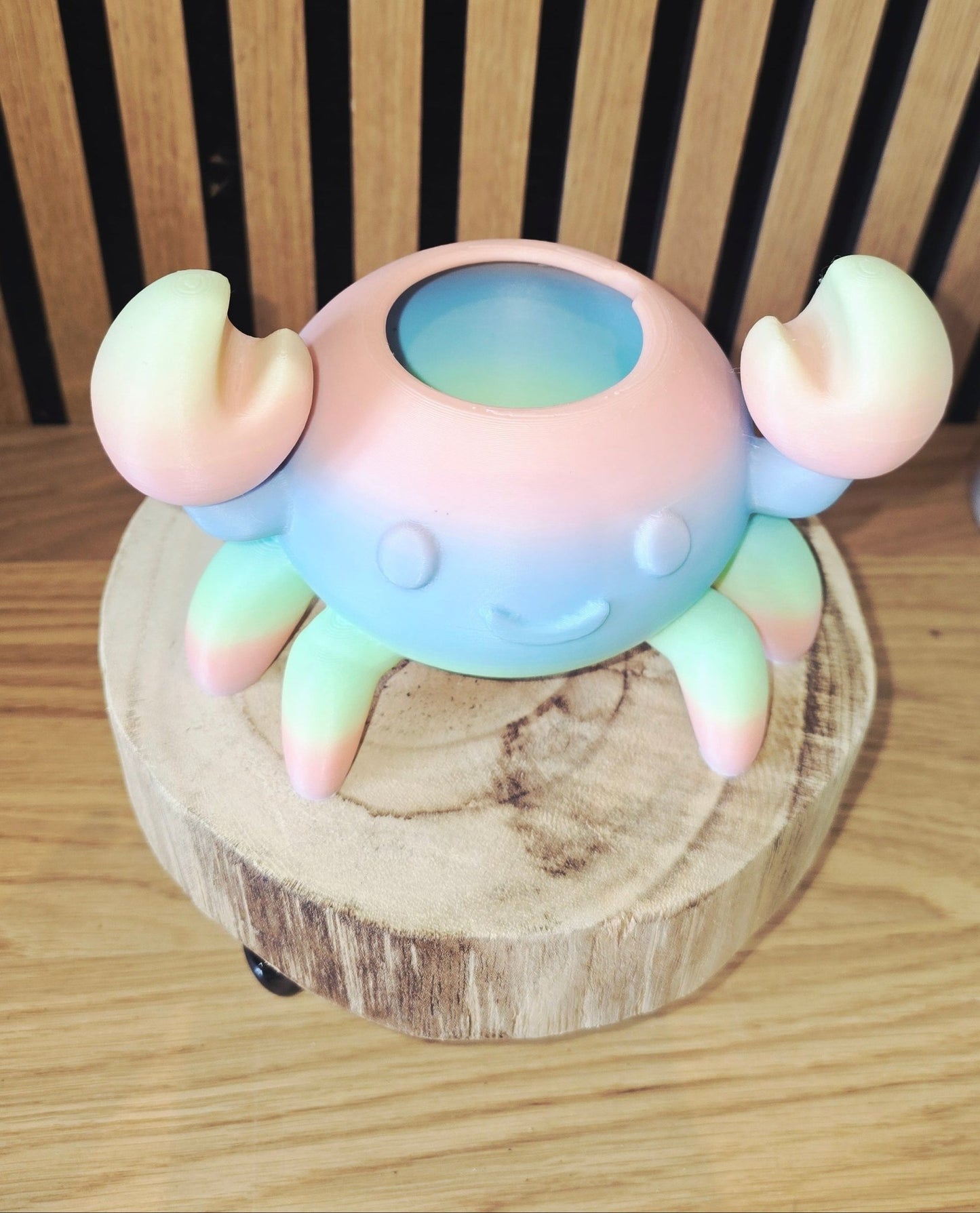 Crabby - Regenboog Krab Bloempotje - Het Oekedoeleke