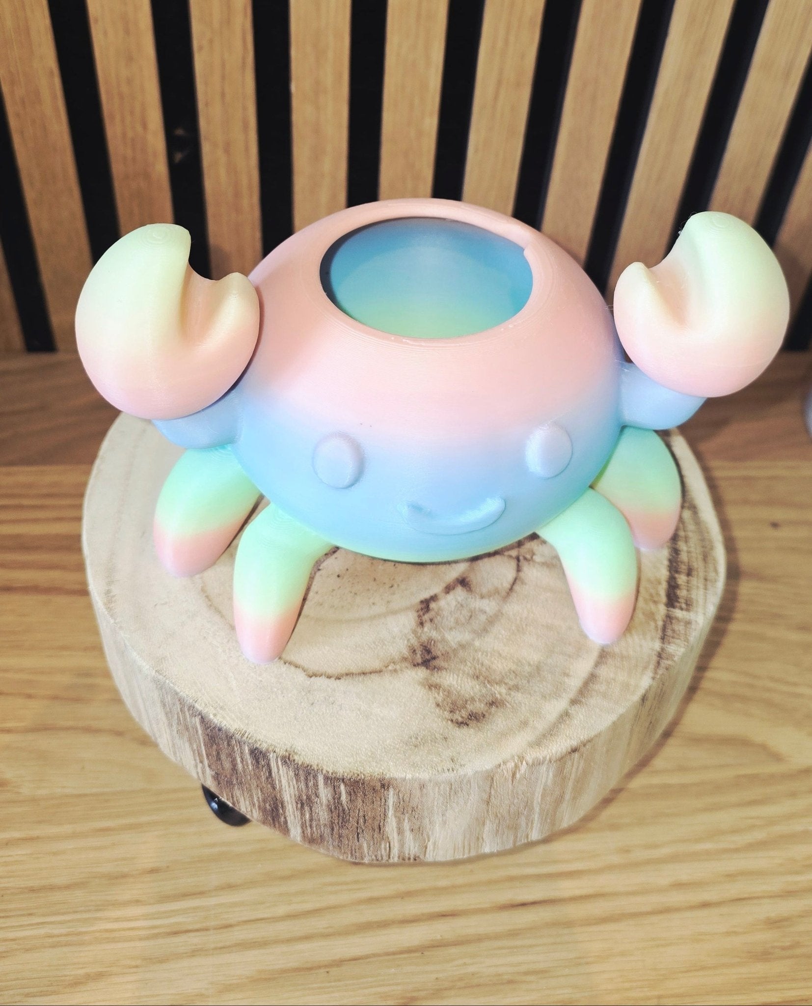 Crabby - Regenboog Krab Bloempotje - Het Oekedoeleke