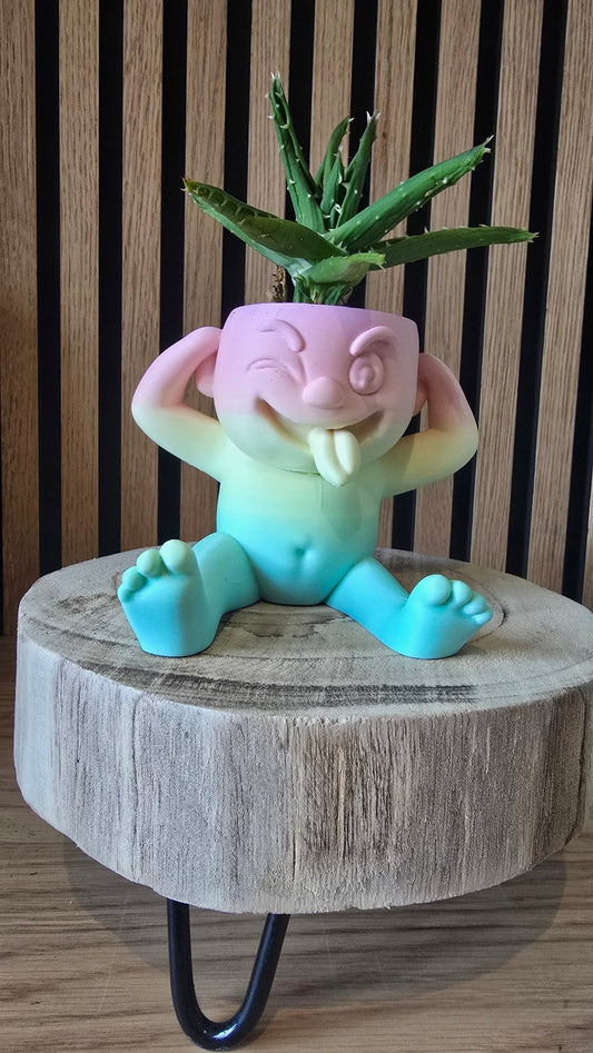 Gekkebek - Grappig Regenboog Bloempotje - Het Oekedoeleke