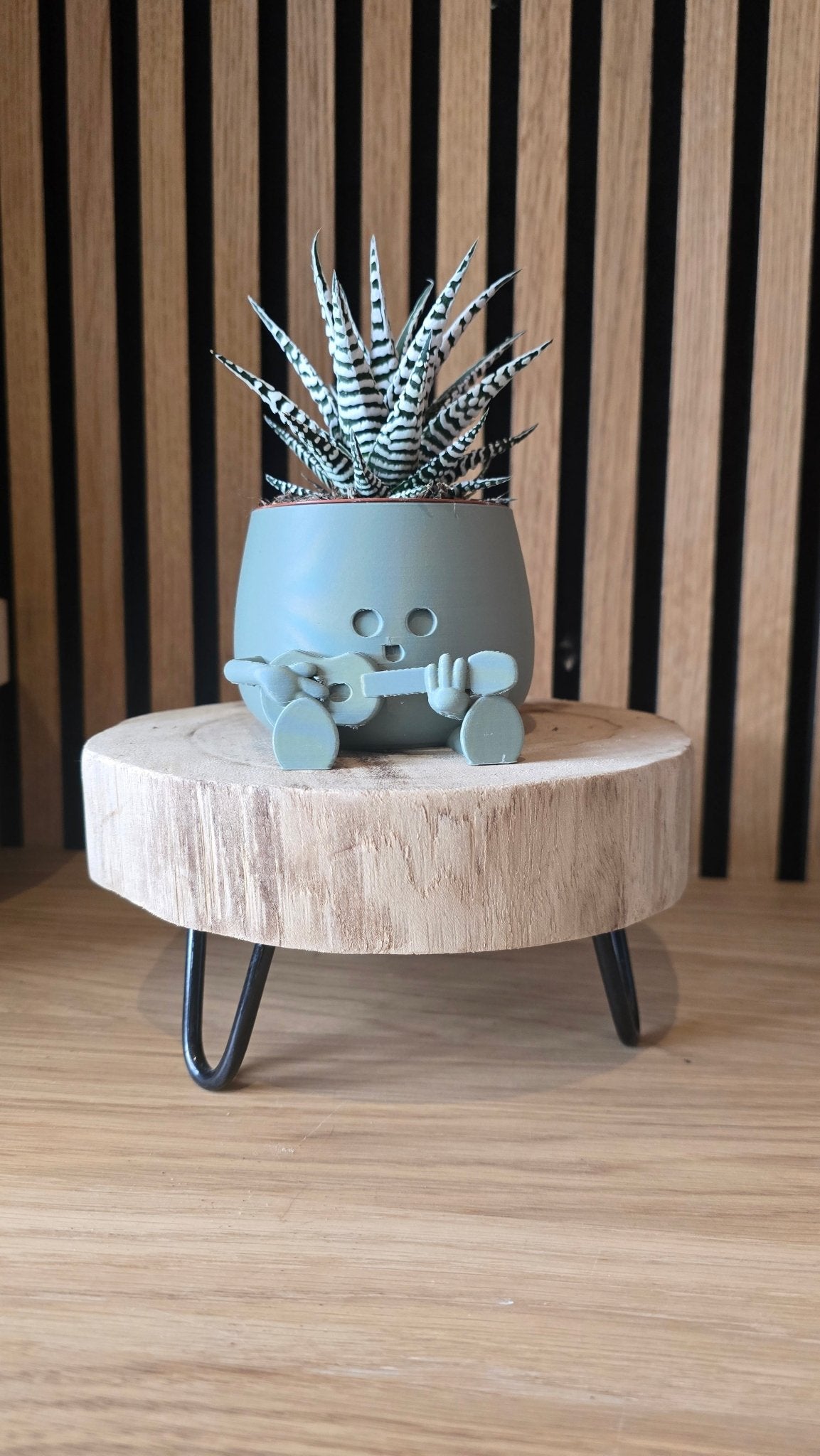 Gitaarheld Bloempot - Rock je Planten 3D Geprint - Het Oekedoeleke