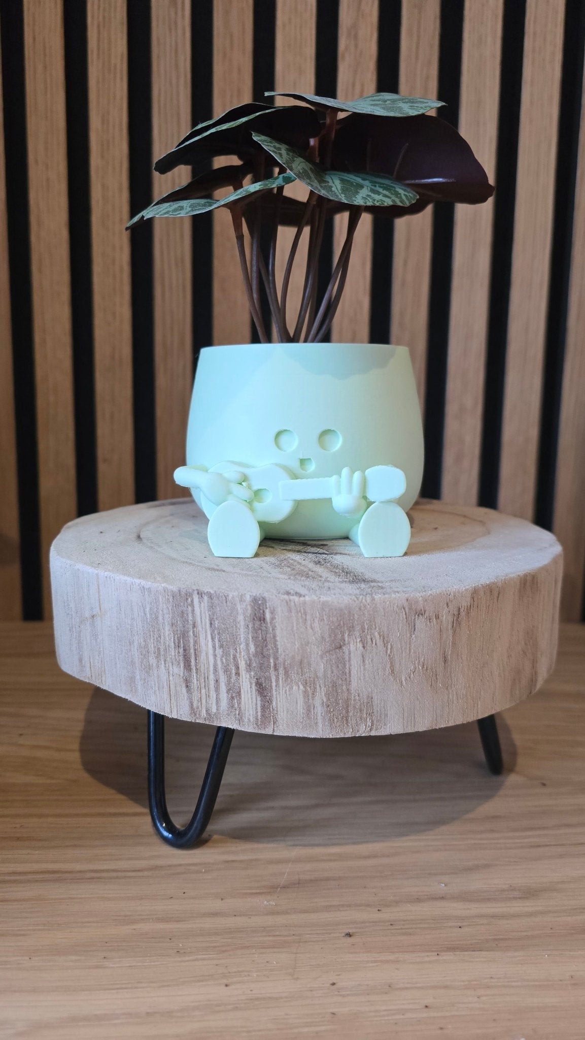 Gitaarheld Bloempot - Rock je Planten 3D Geprint - Het Oekedoeleke