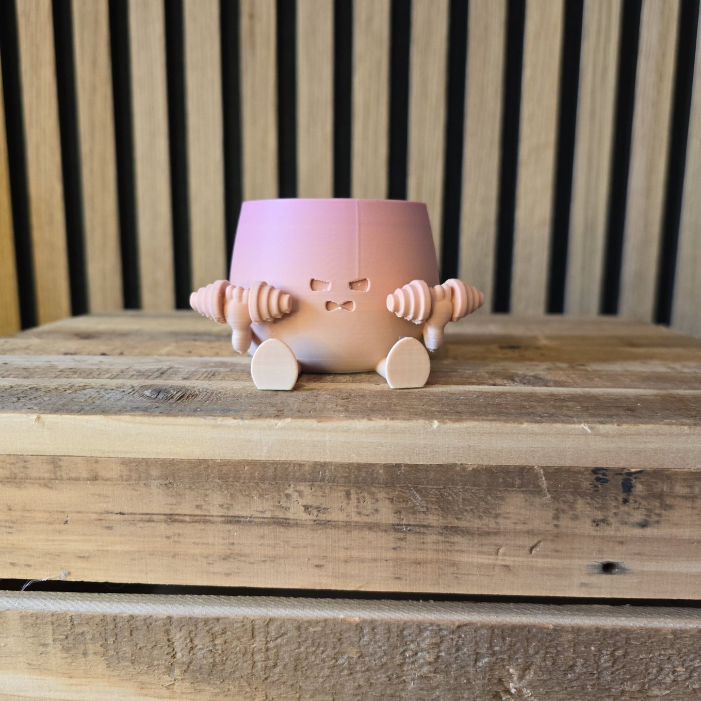 Gym Bloempot - Met Dumbbell & Kettlebell 3D Geprint - Het Oekedoeleke