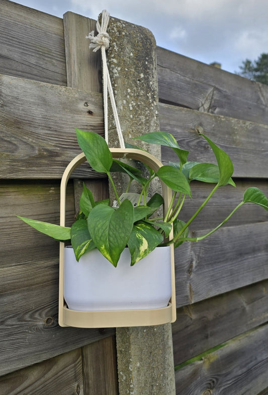 Hangis - Hangende Bloempot Binnen & Buiten - Het Oekedoeleke