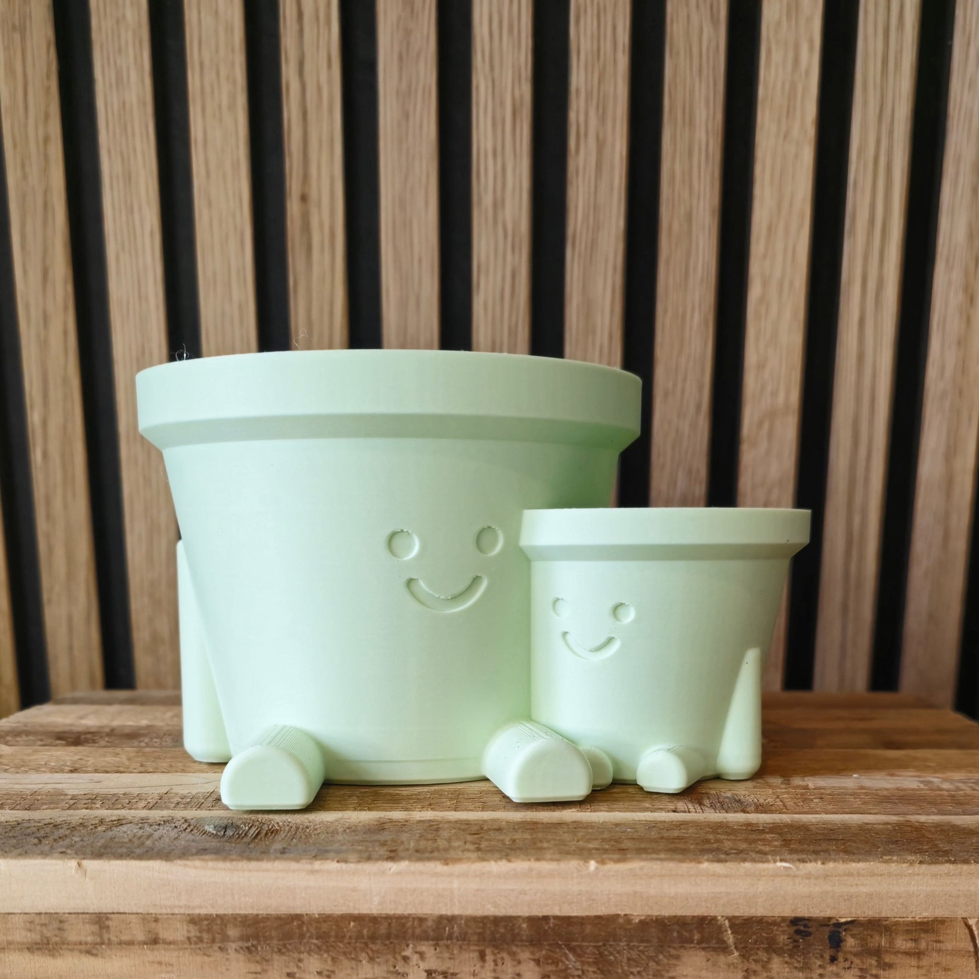 Happy Pot Duo - Set van 2 Vrolijke Bloempotjes 3D Geprint - Het Oekedoeleke