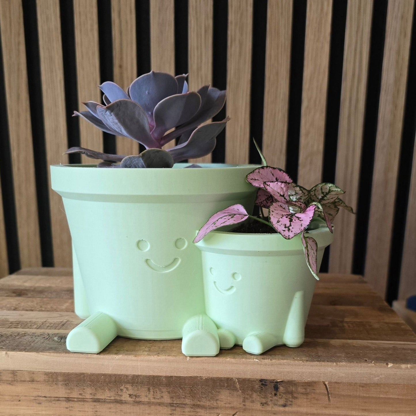 Happy Pot Duo - Set van 2 Vrolijke Bloempotjes 3D Geprint - Het Oekedoeleke