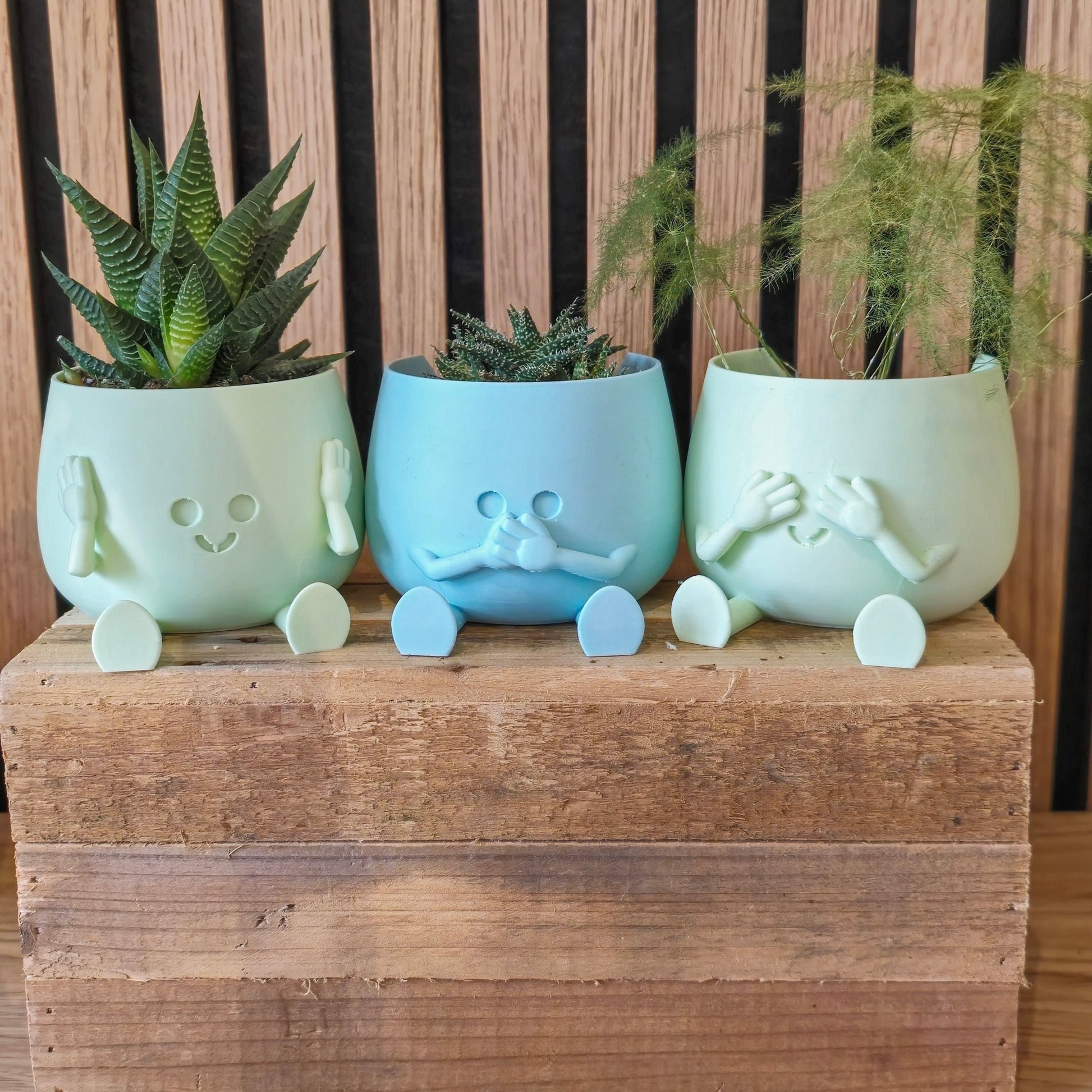 Horen zien en zwijgen - Het Oekedoeleke