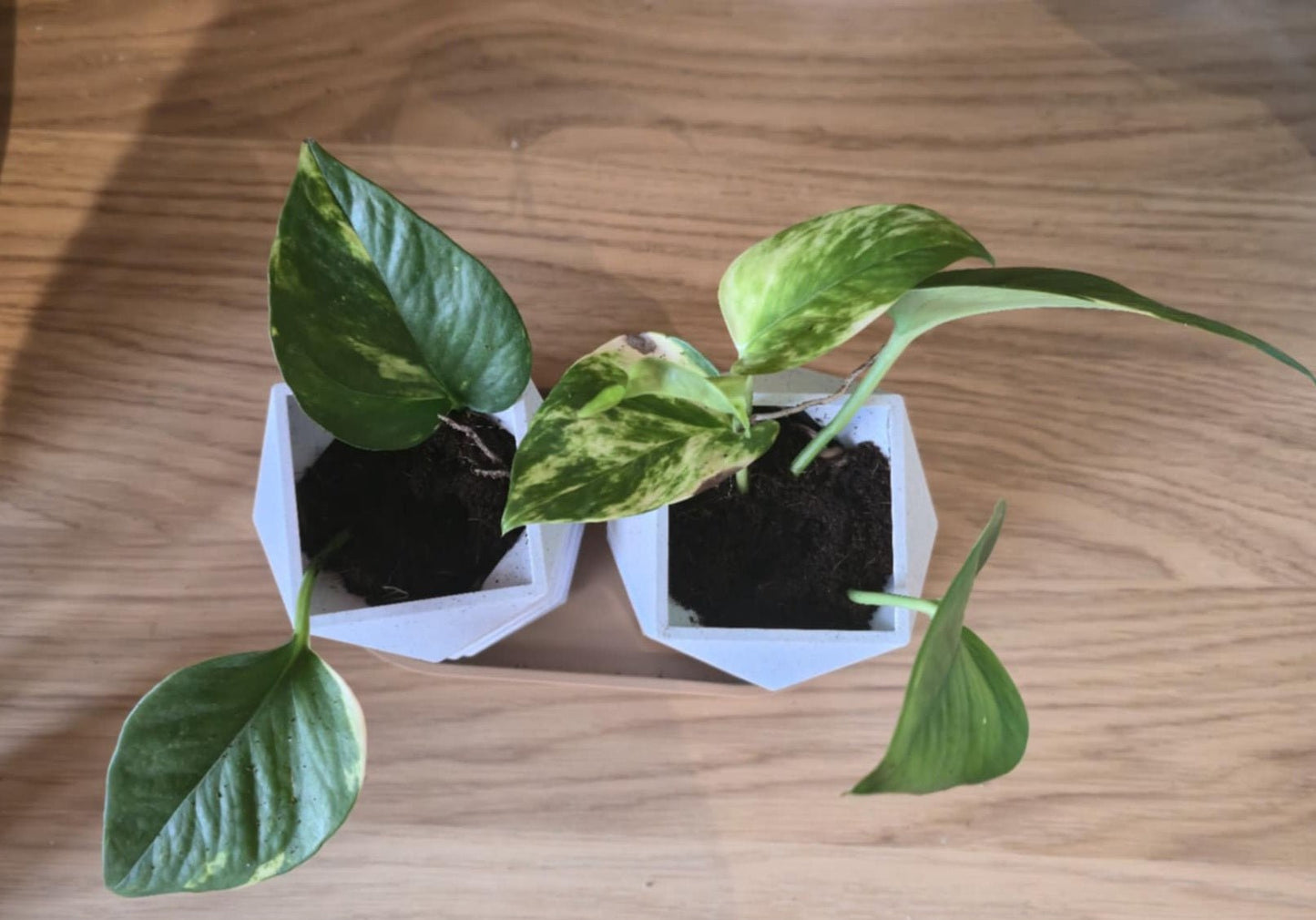 Origami Bloempot Duo - Wit - Het Oekedoeleke