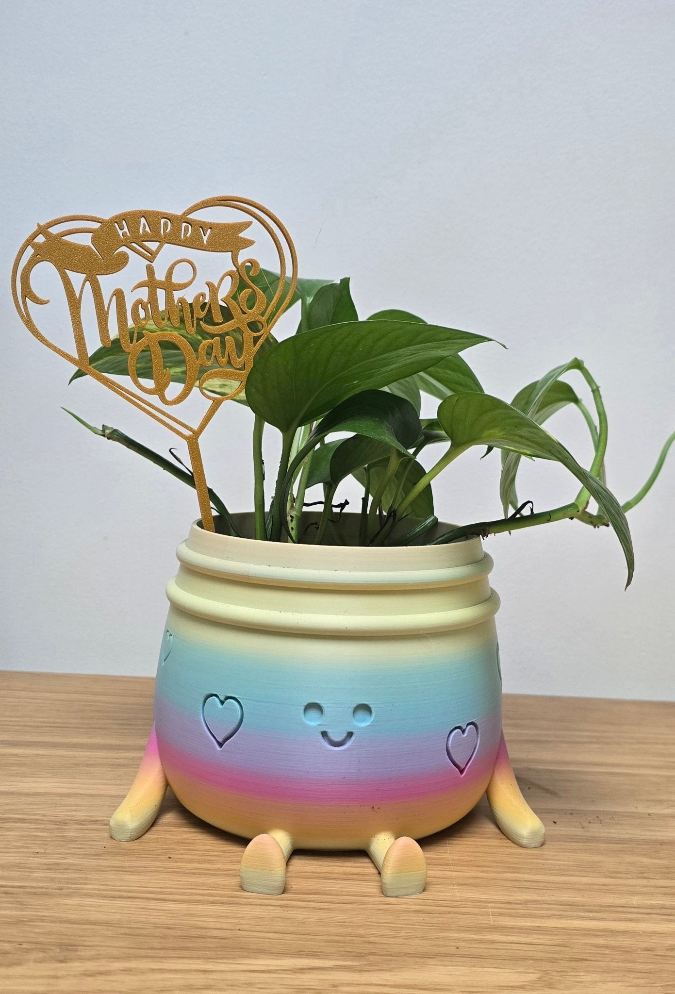 Plantensteker Happy Mother's Day - Het Oekedoeleke