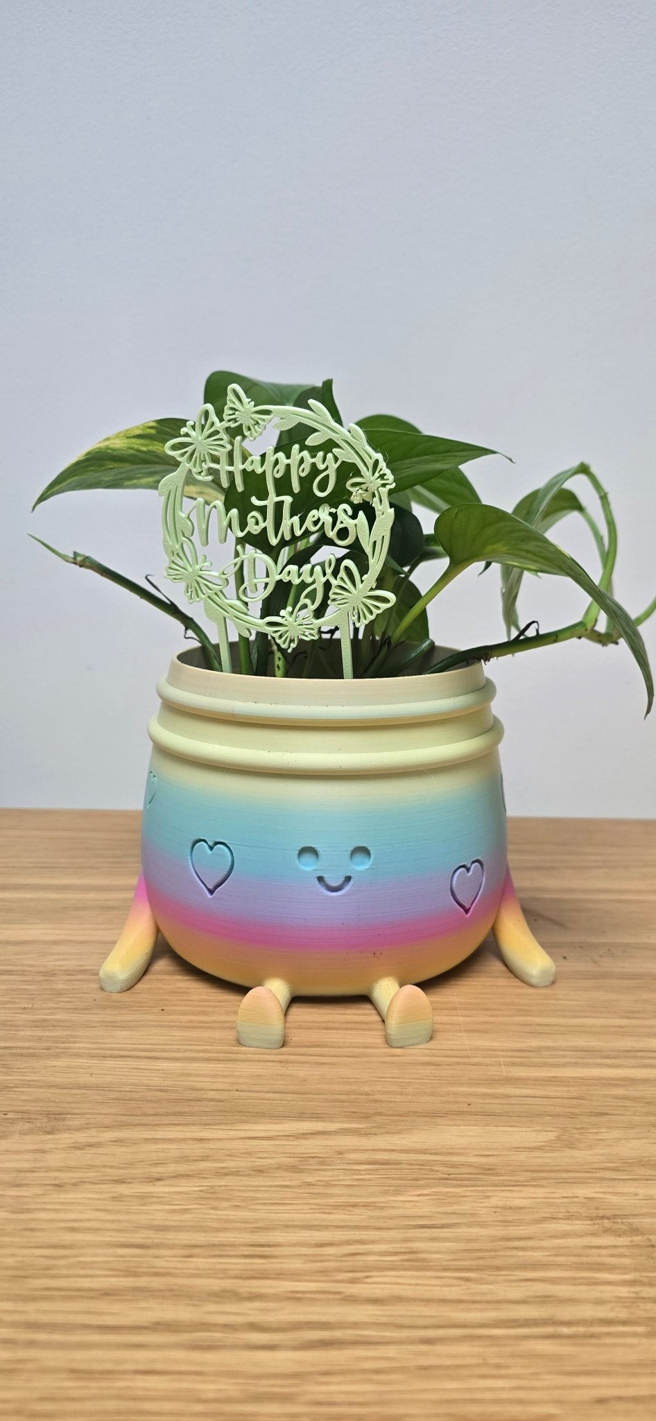 Plantensteker Happy Mother's Day - Het Oekedoeleke
