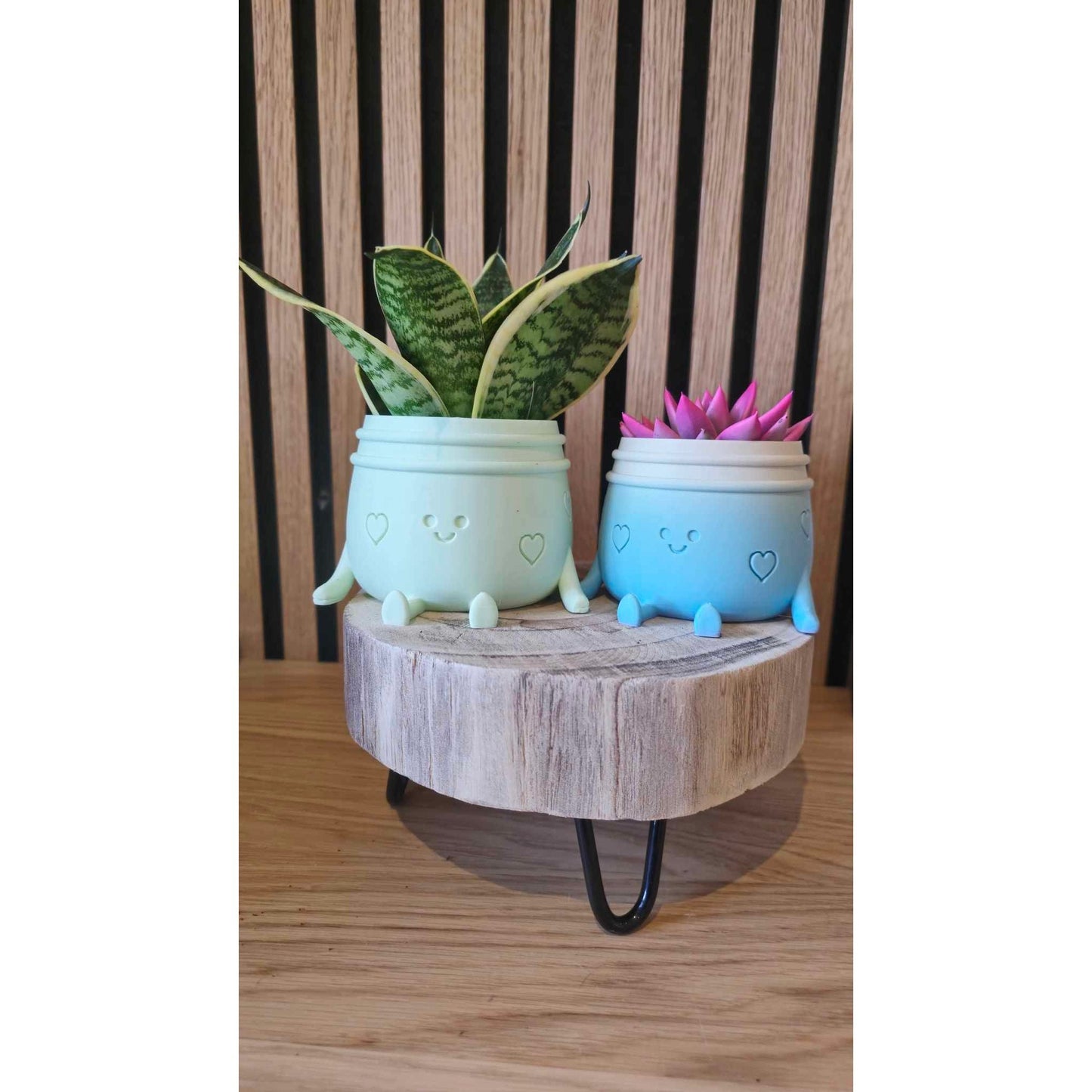 Planti Potti - Het Oekedoeleke