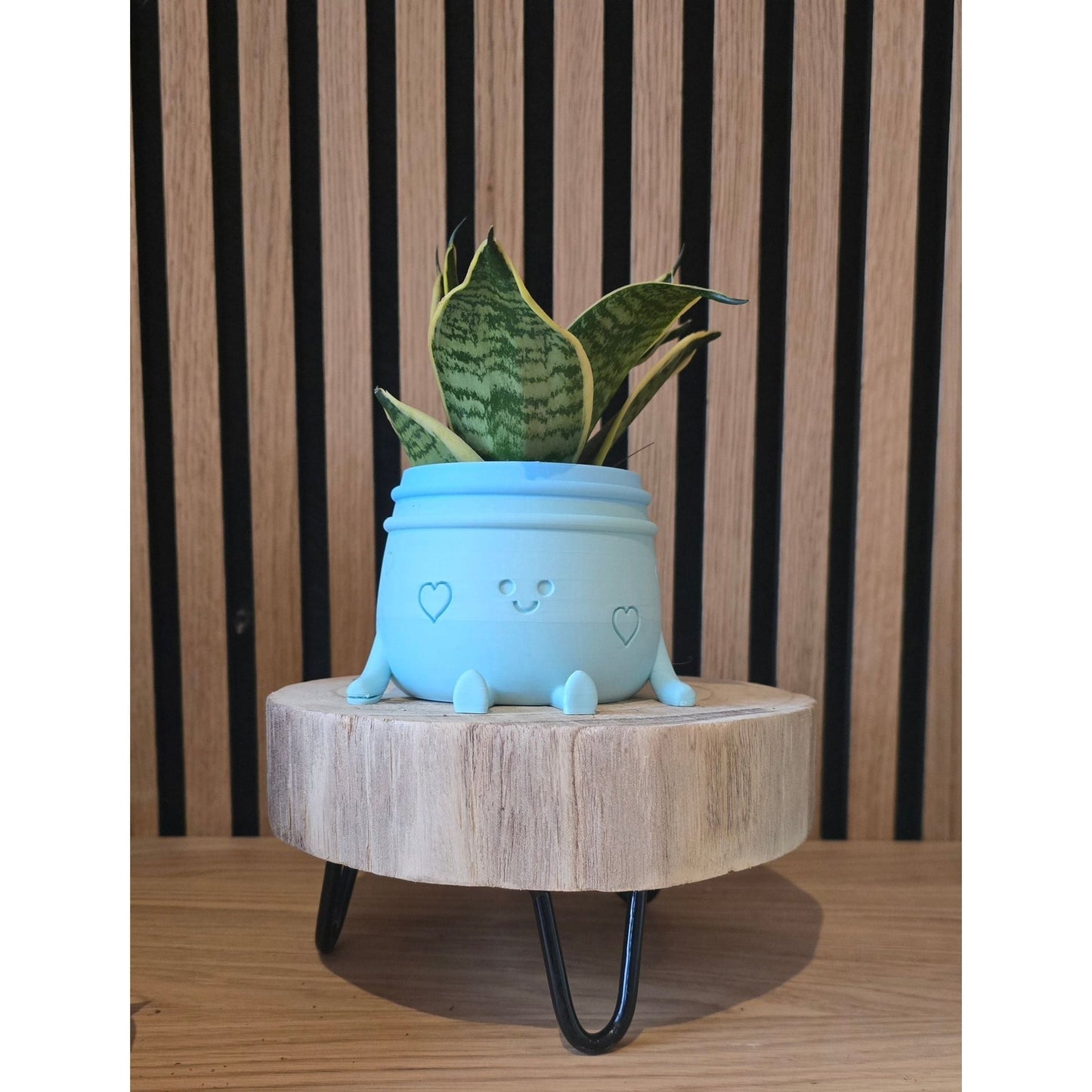 Planti Potti - Het Oekedoeleke