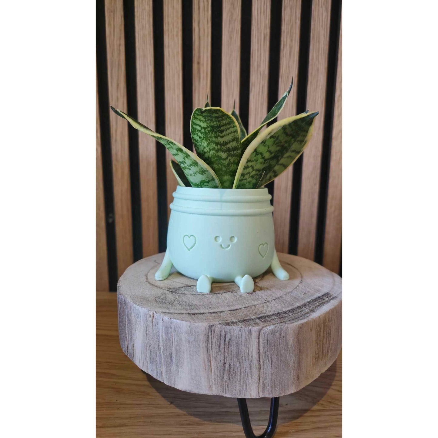 Planti Potti - Het Oekedoeleke