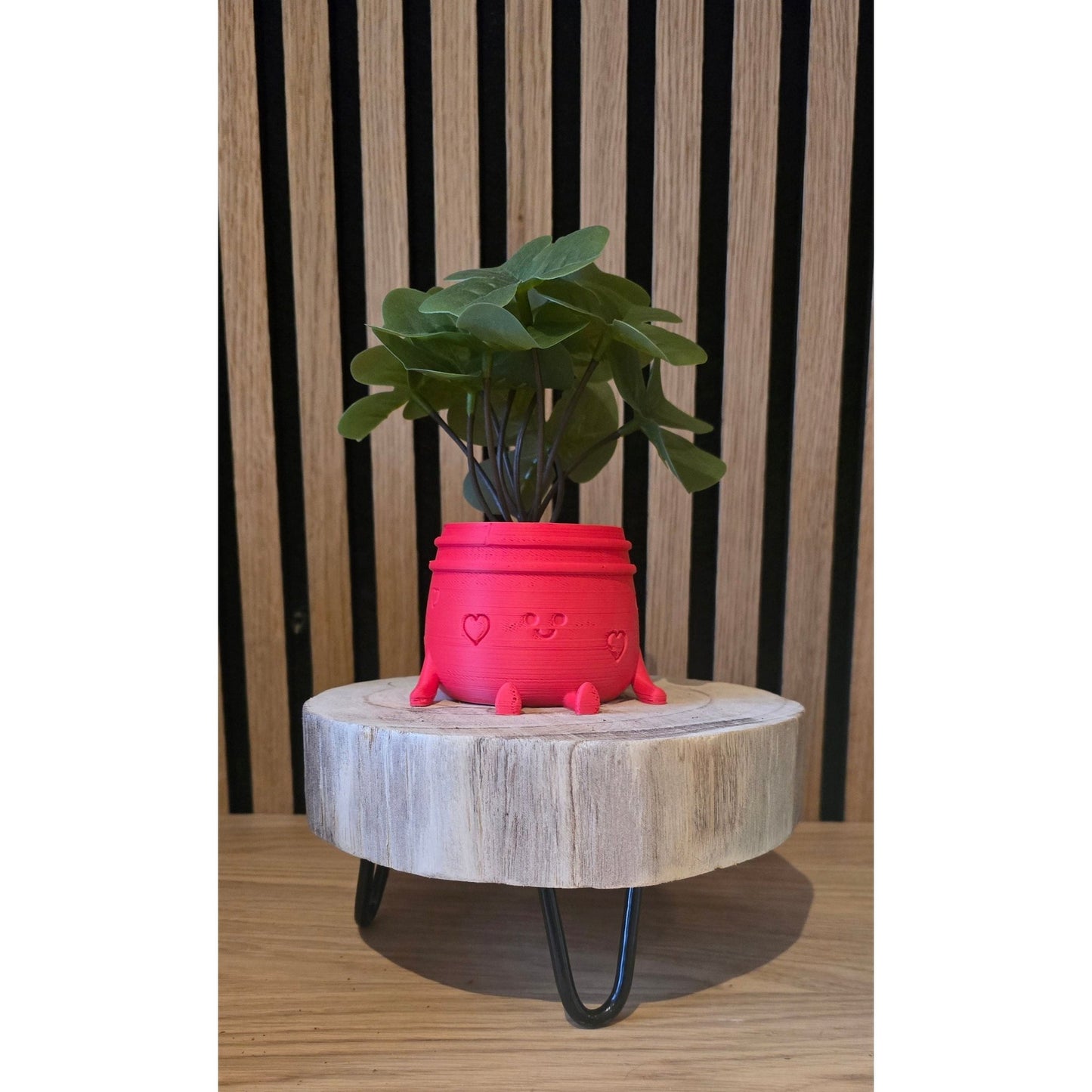 Planti Potti - Het Oekedoeleke