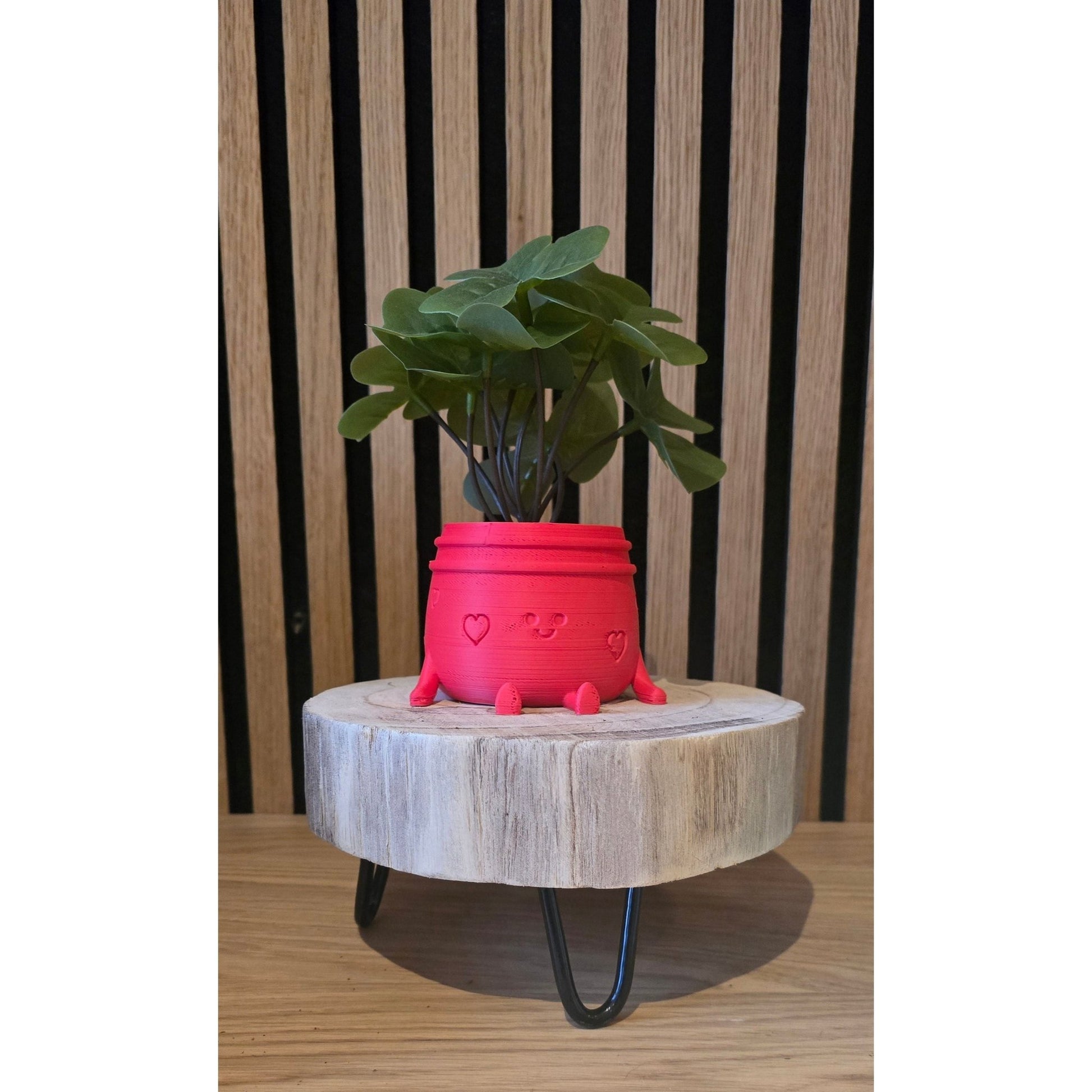 Planti Potti - Het Oekedoeleke
