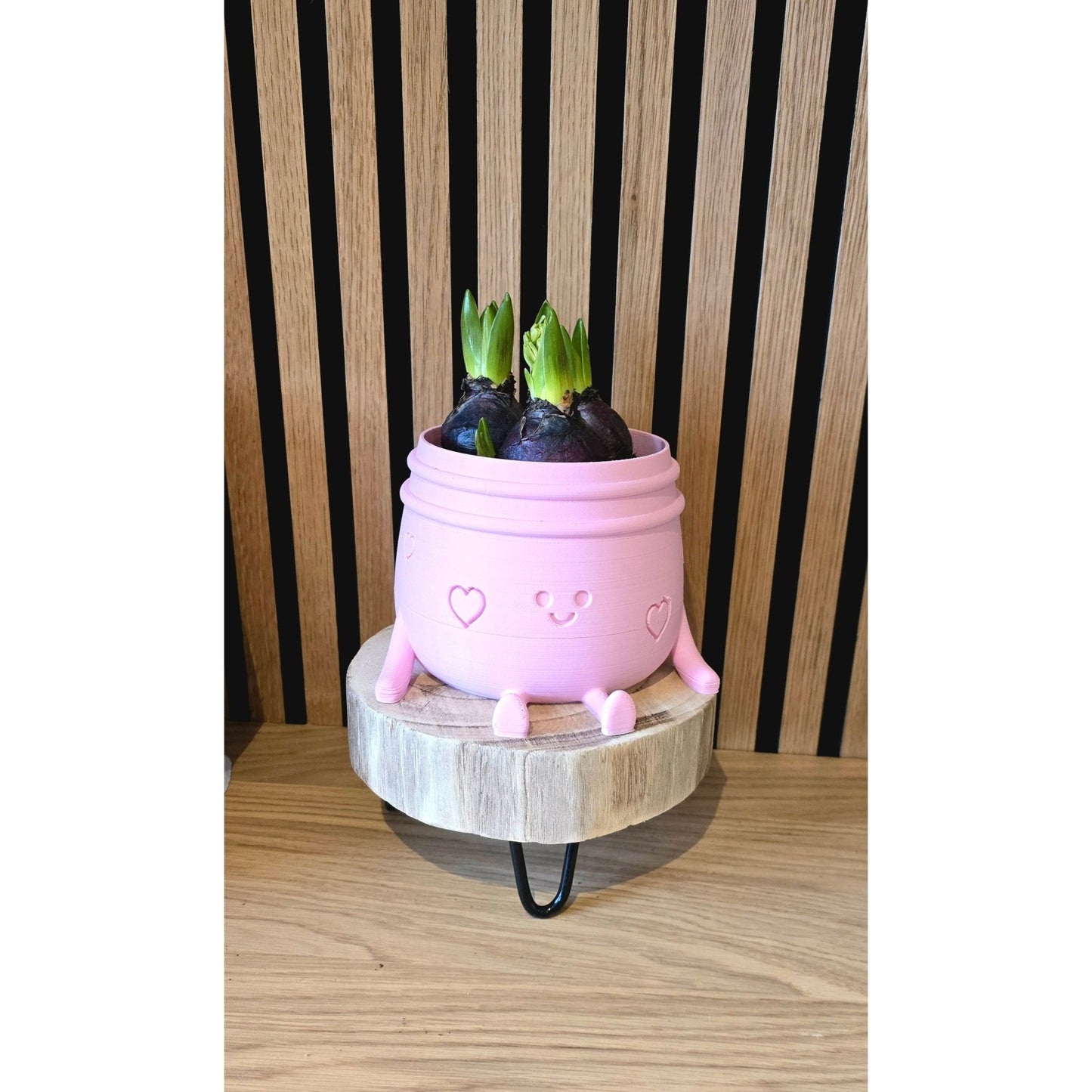 Planti Potti - Het Oekedoeleke