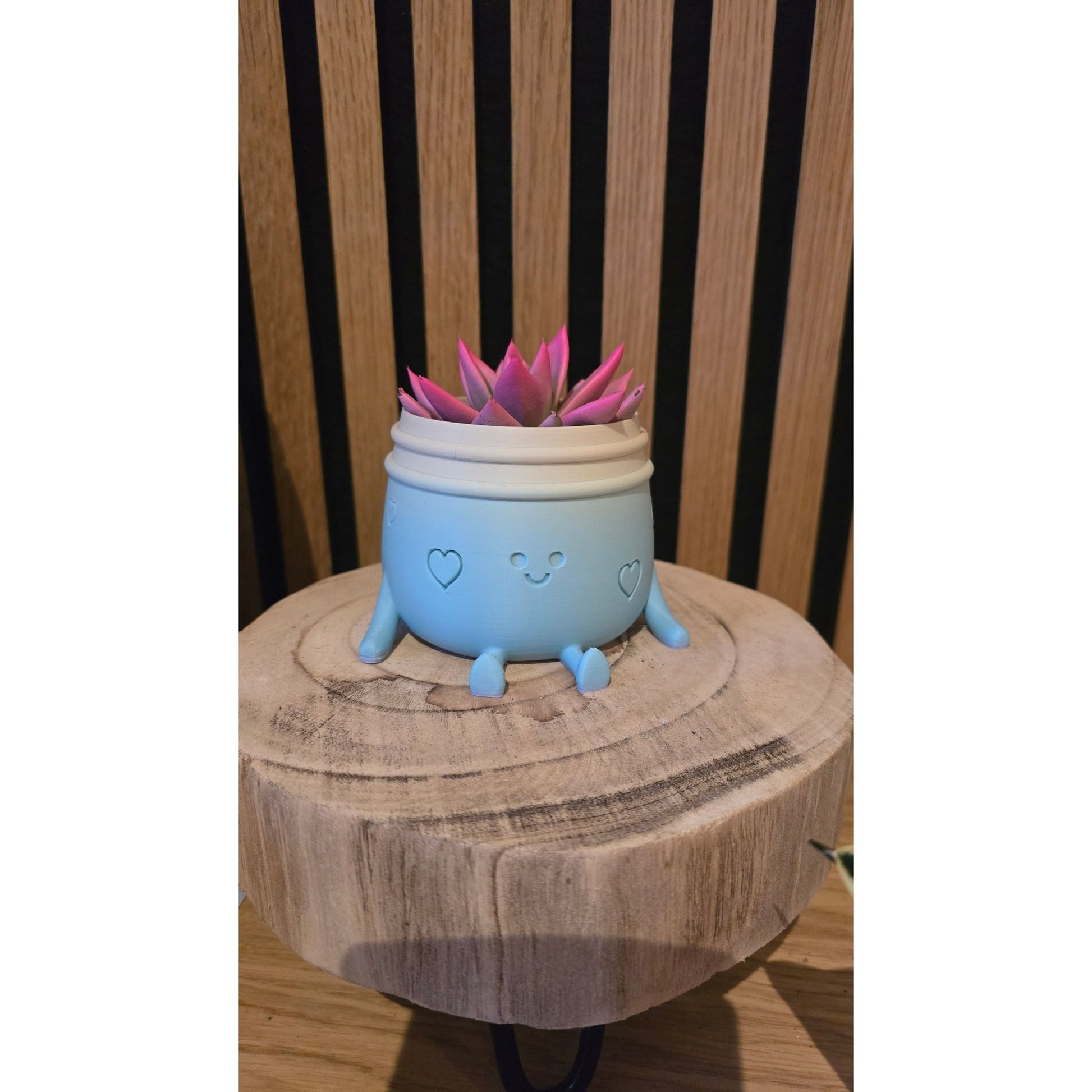 Planti Potti - Het Oekedoeleke