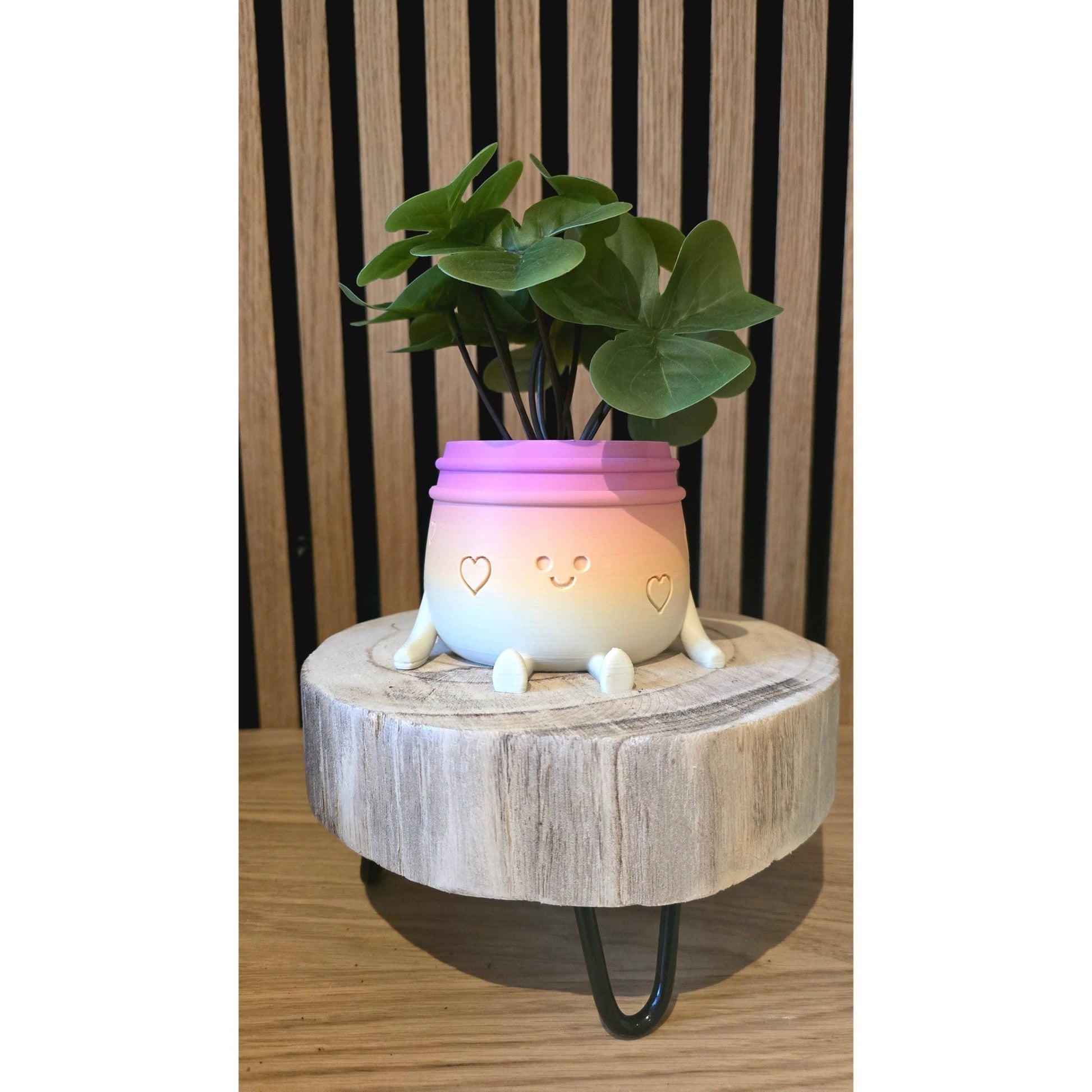 Planti Potti - Het Oekedoeleke