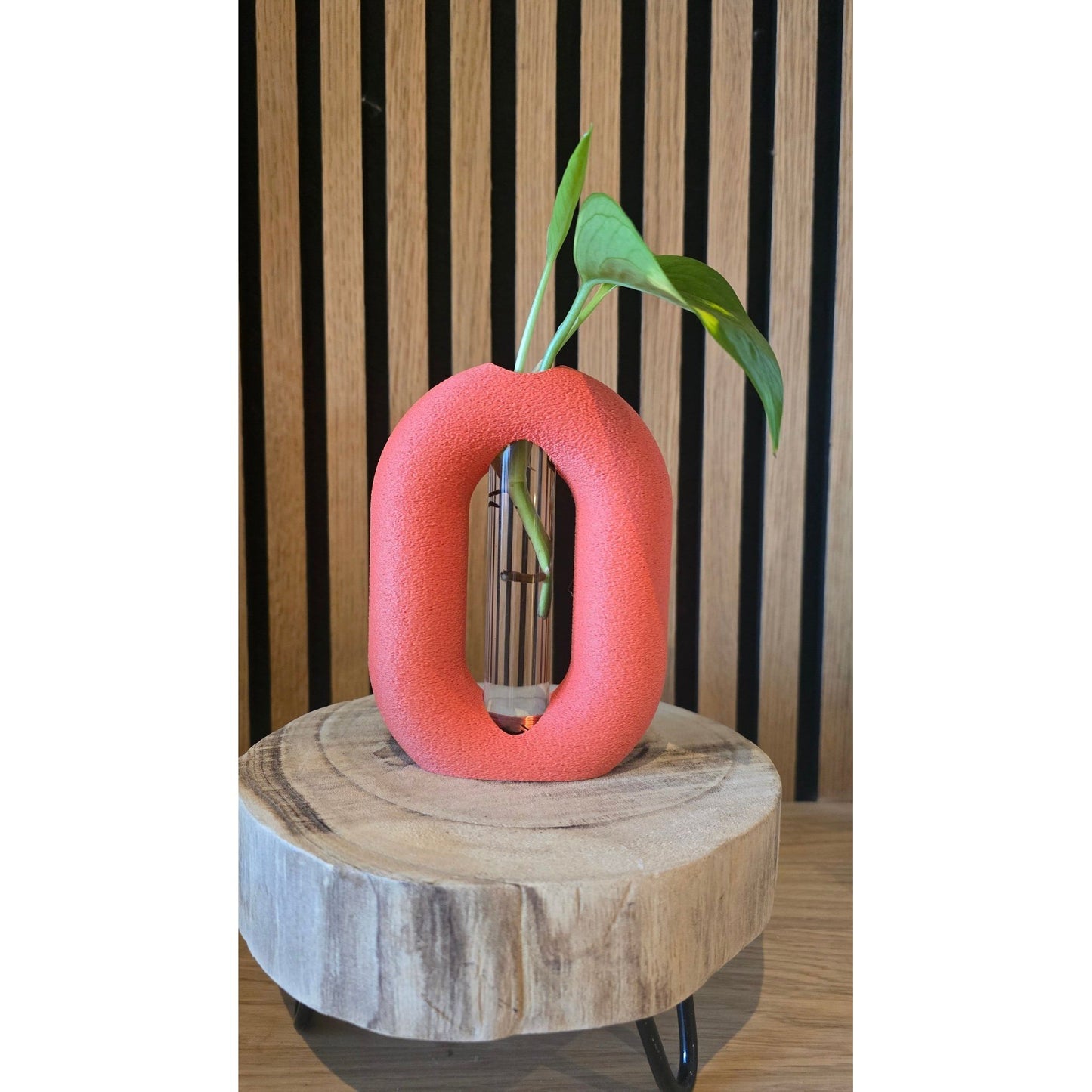 Stekvaasje - 3D Geprint Plantenpotje - Het Oekedoeleke