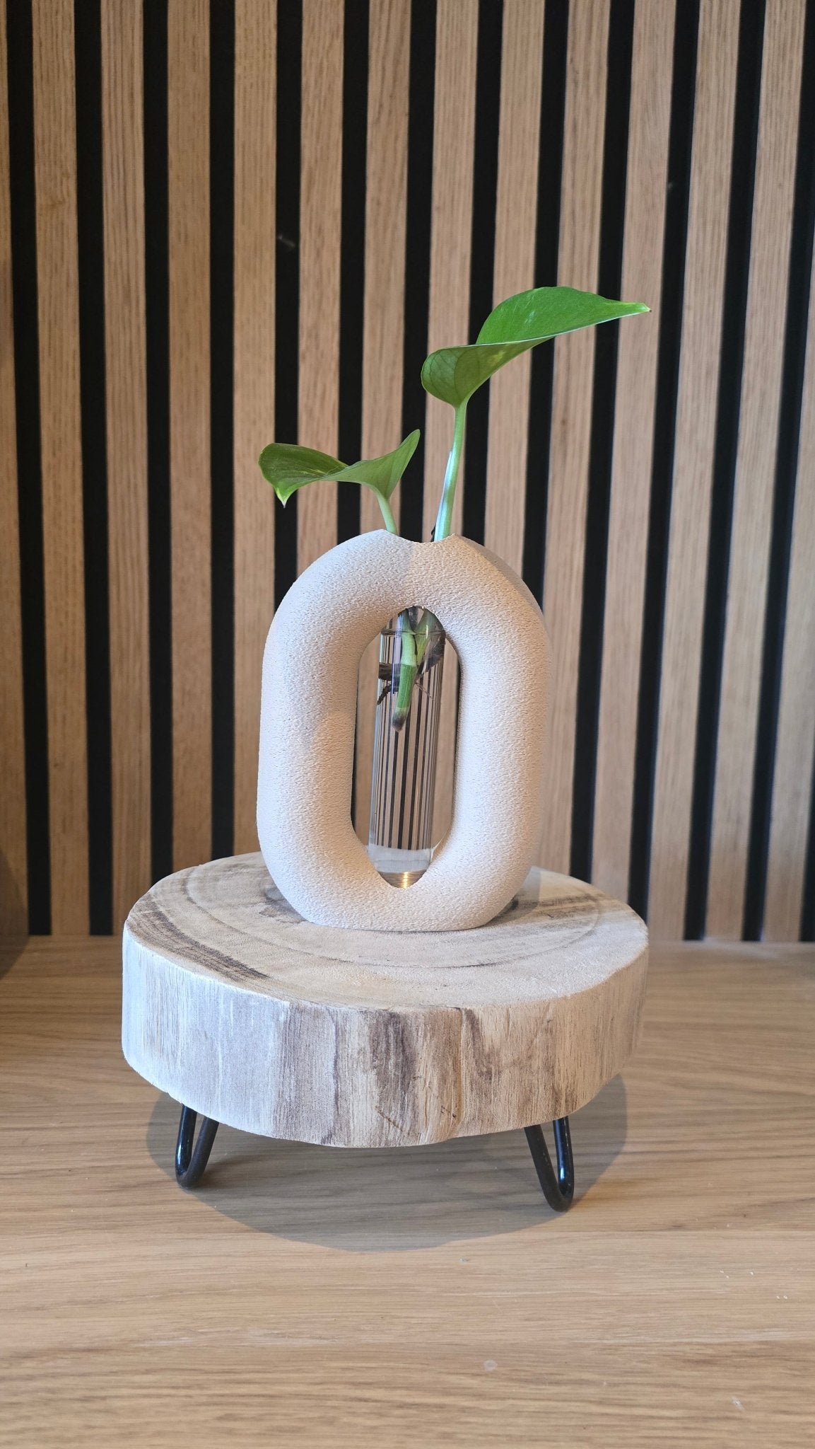 Stekvaasje - 3D Geprint Plantenpotje - Het Oekedoeleke