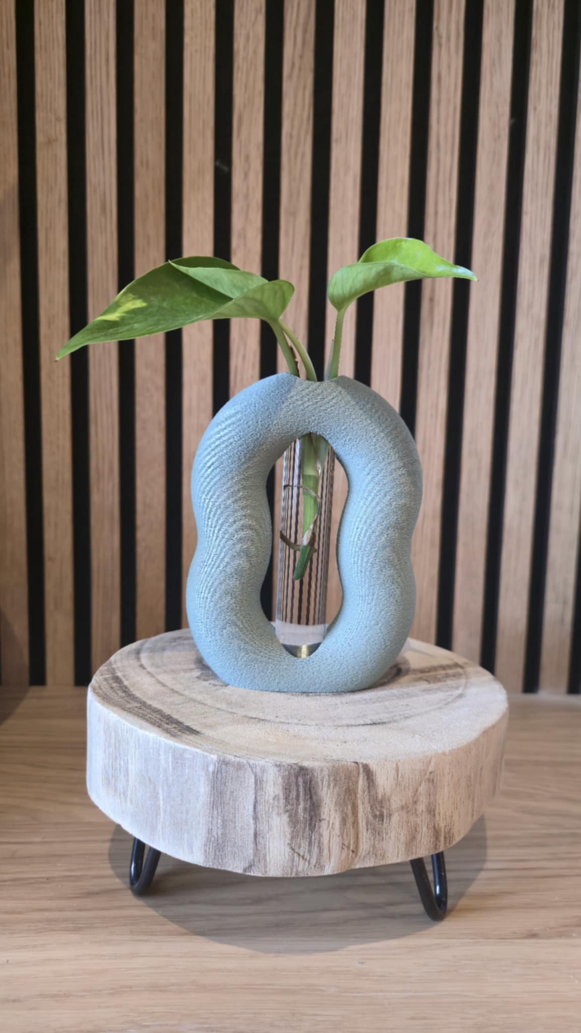 Stekvaasje - 3D Geprint Plantenpotje - Het Oekedoeleke